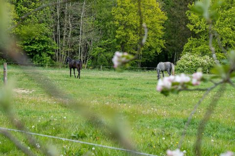 Byggegrund med skøn natur