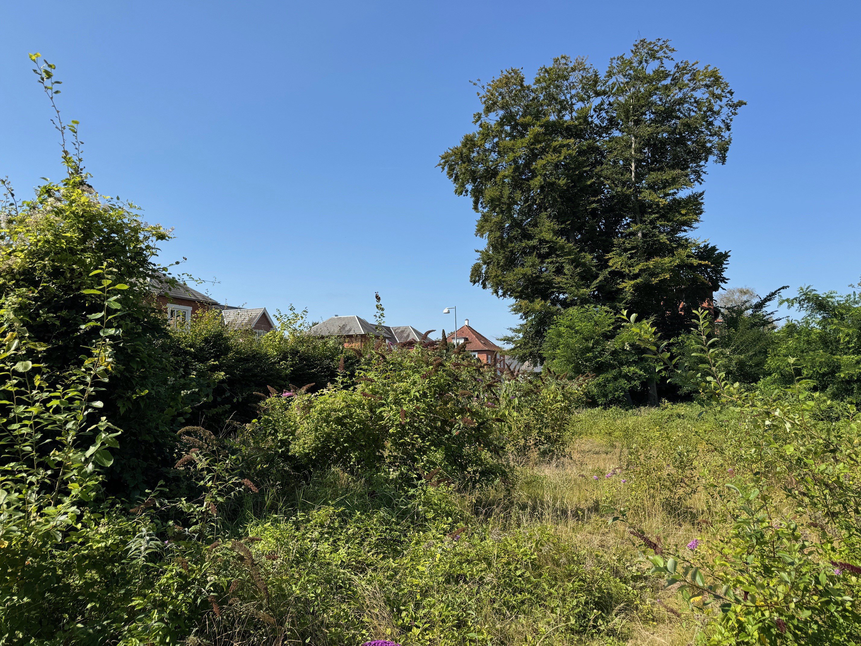 Platanvej 17A, 5230 Odense M