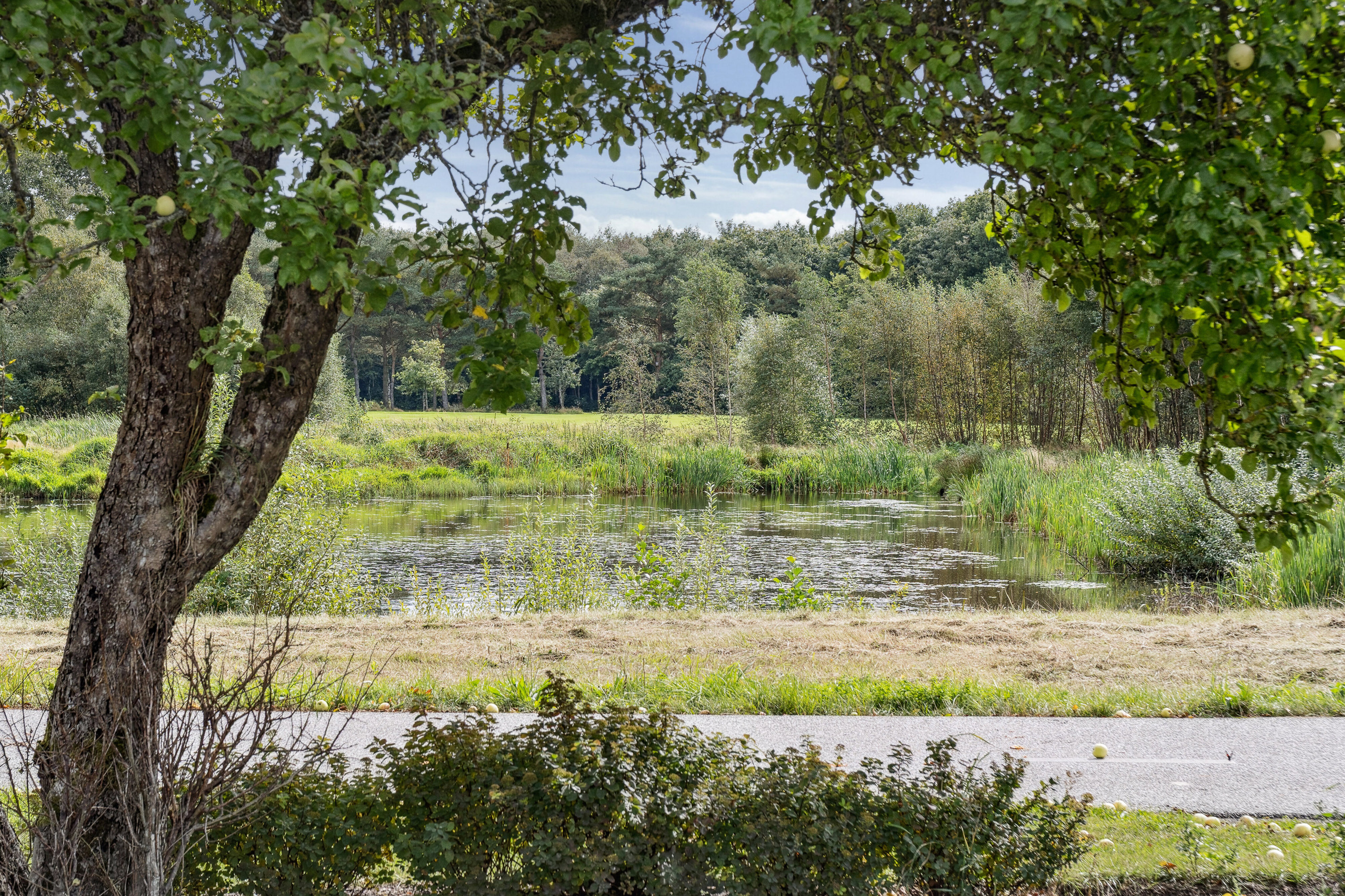 Engholm Søpark 104, 7400 Herning