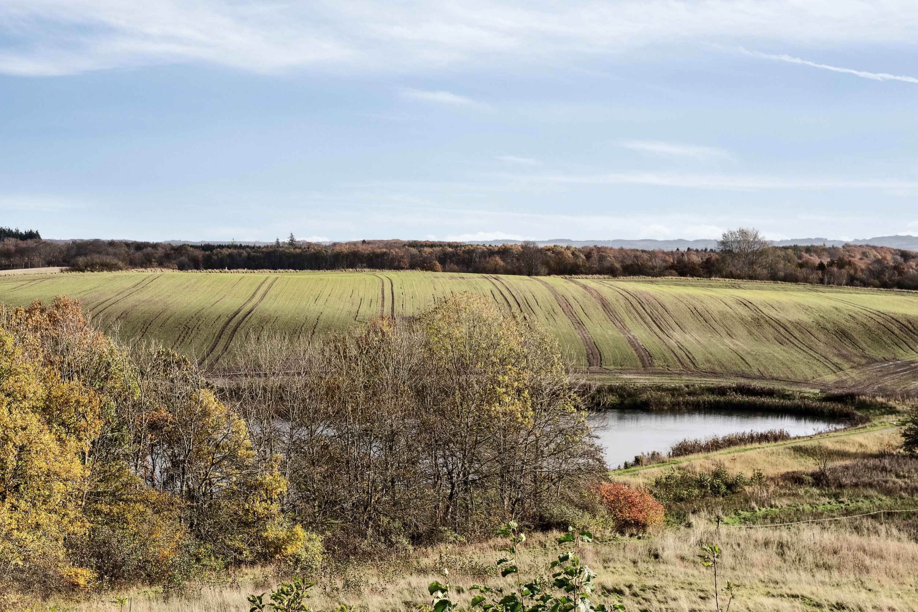 Løgten Østervej 76, 8541 Skødstrup