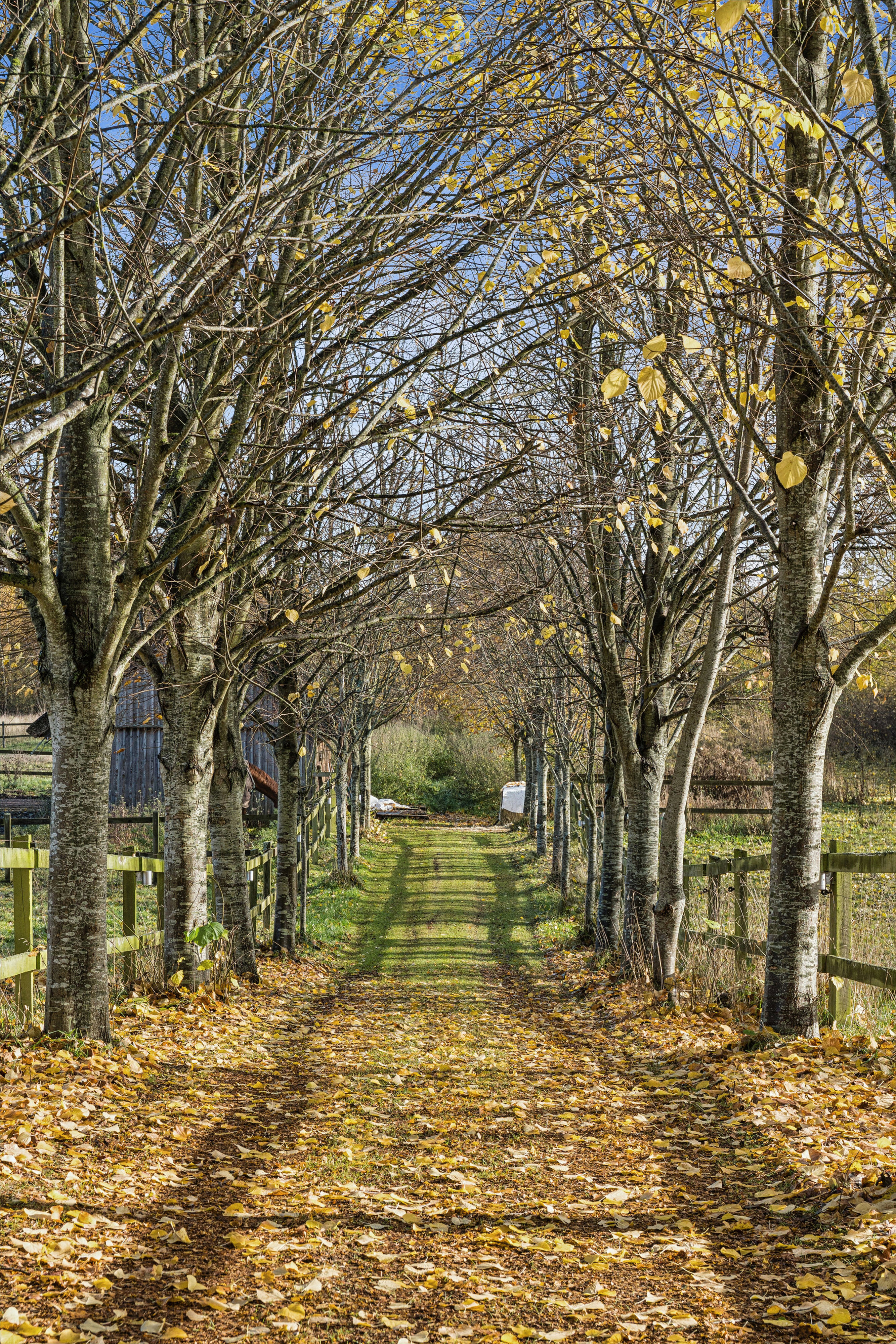 Gunderødvej 40, 2980 Kokkedal