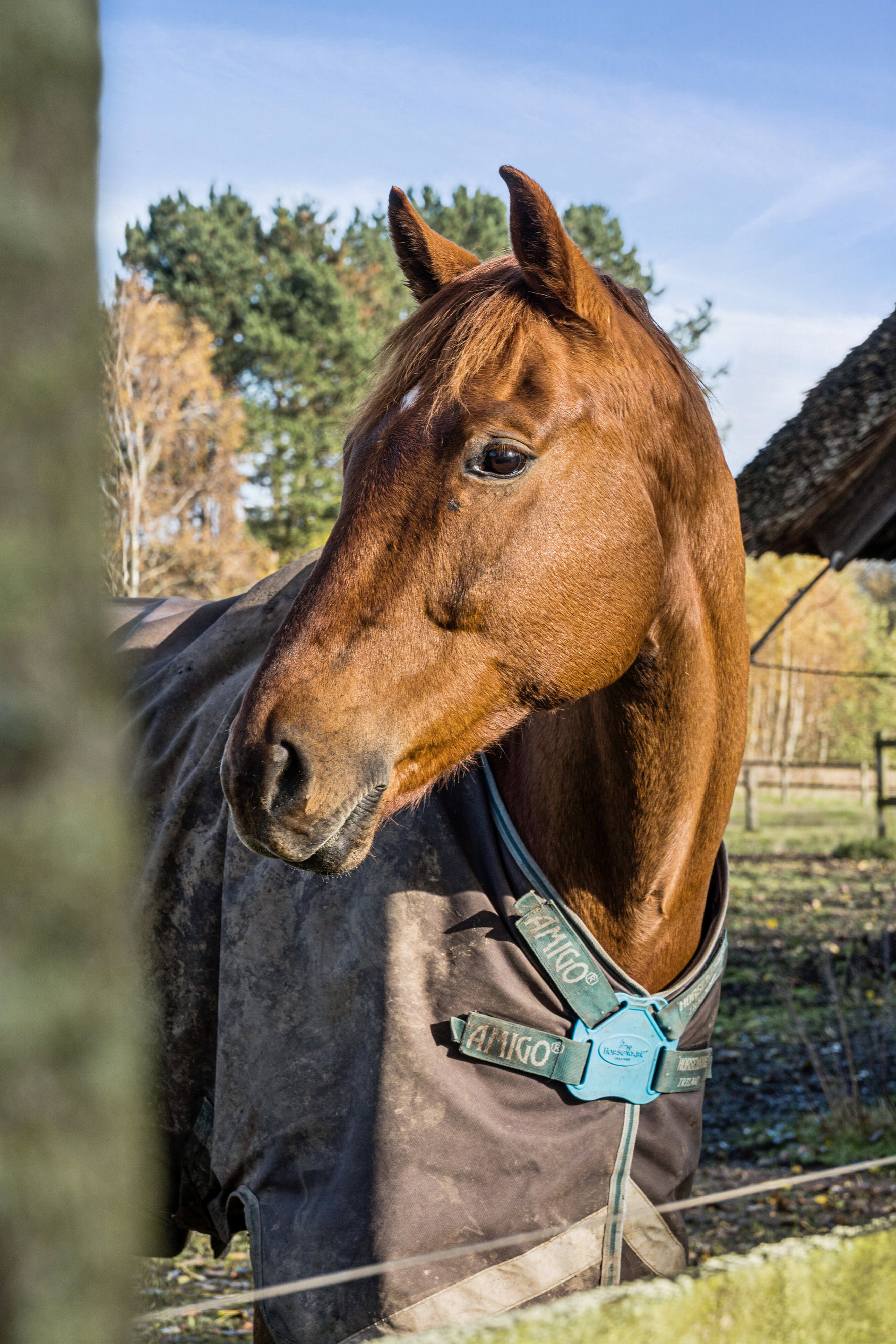 Gunderødvej 40, 2980 Kokkedal