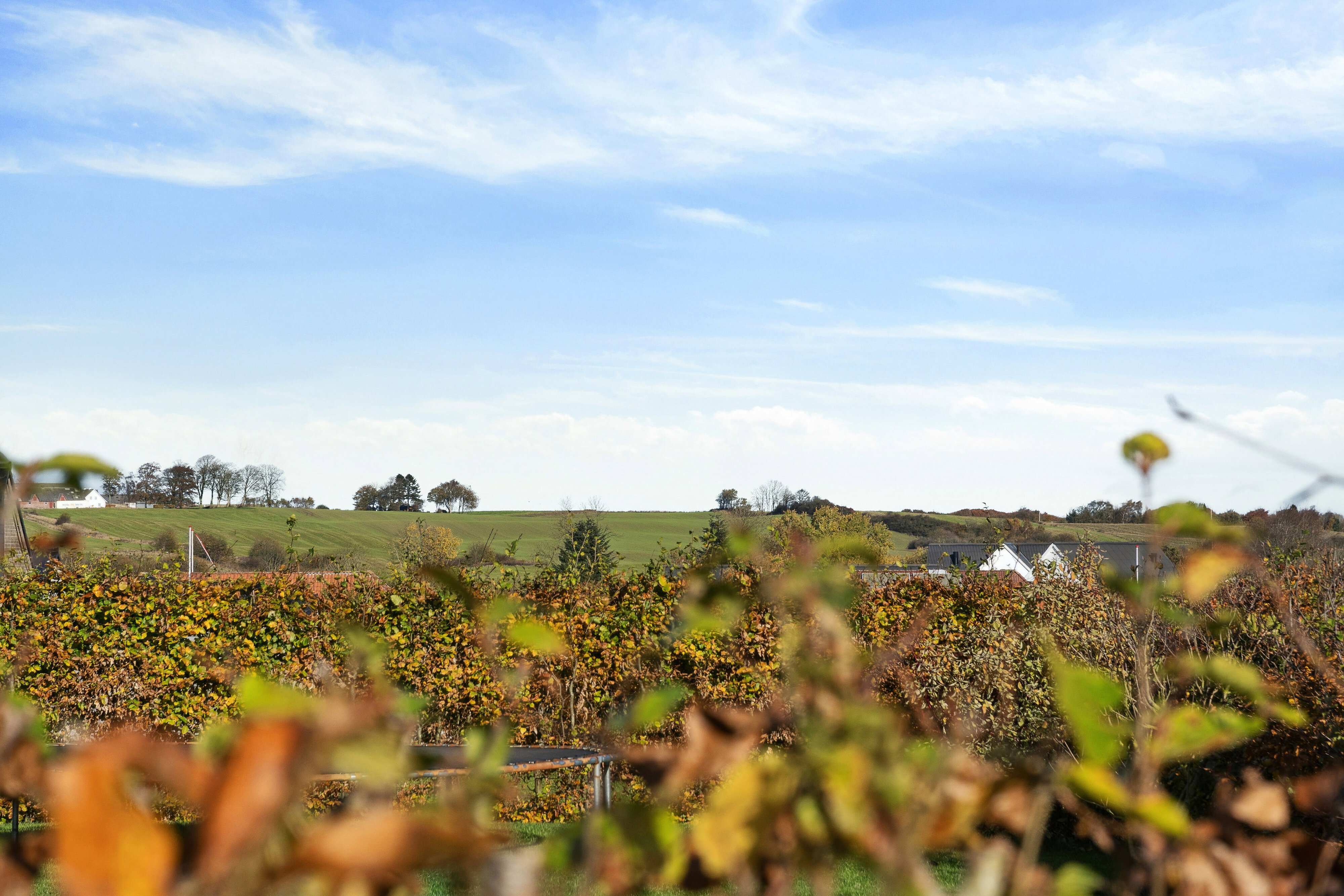Jakob Knudsens Vej 2, 7100 Vejle