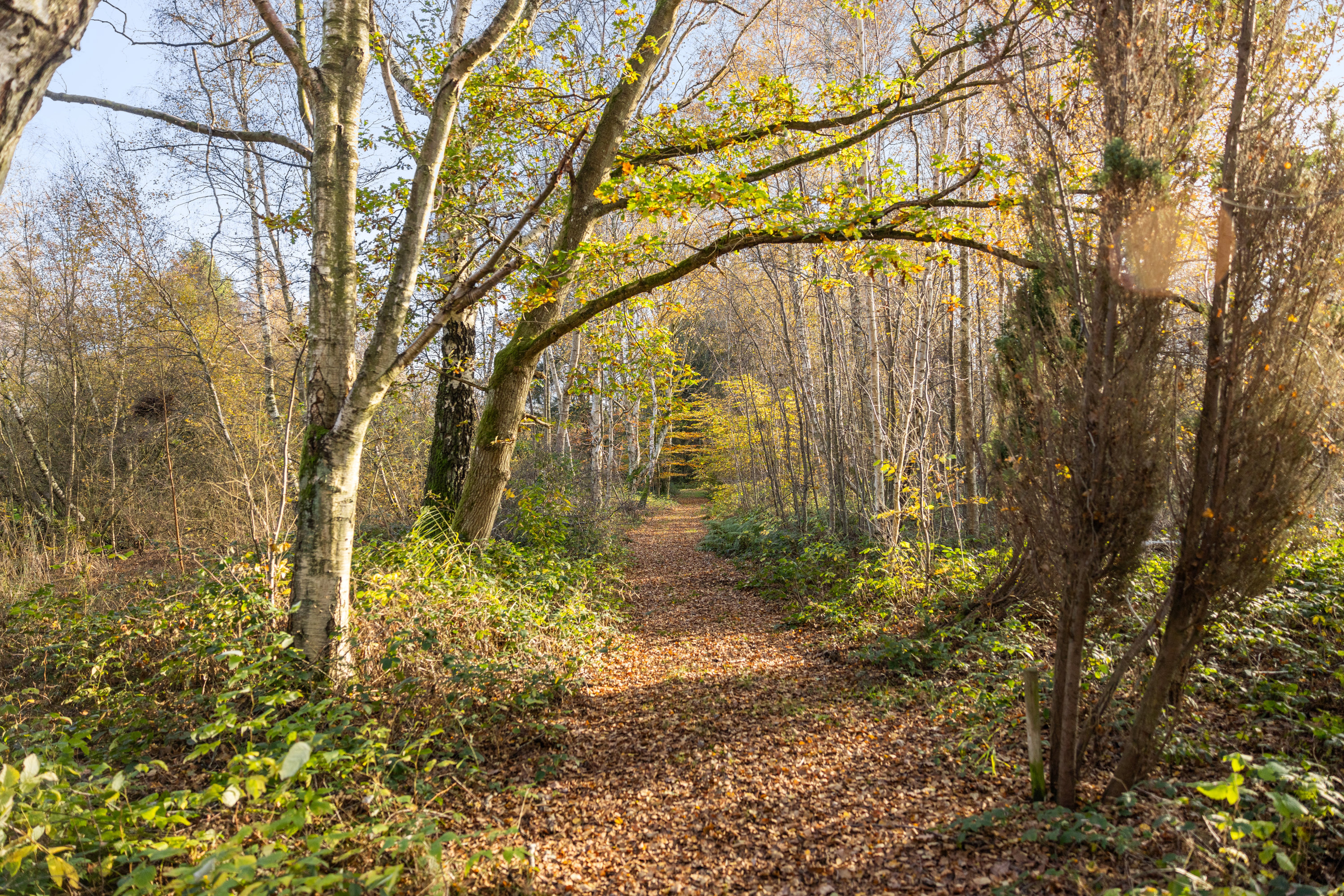 Storkenhøjvej 185, 5400 Bogense