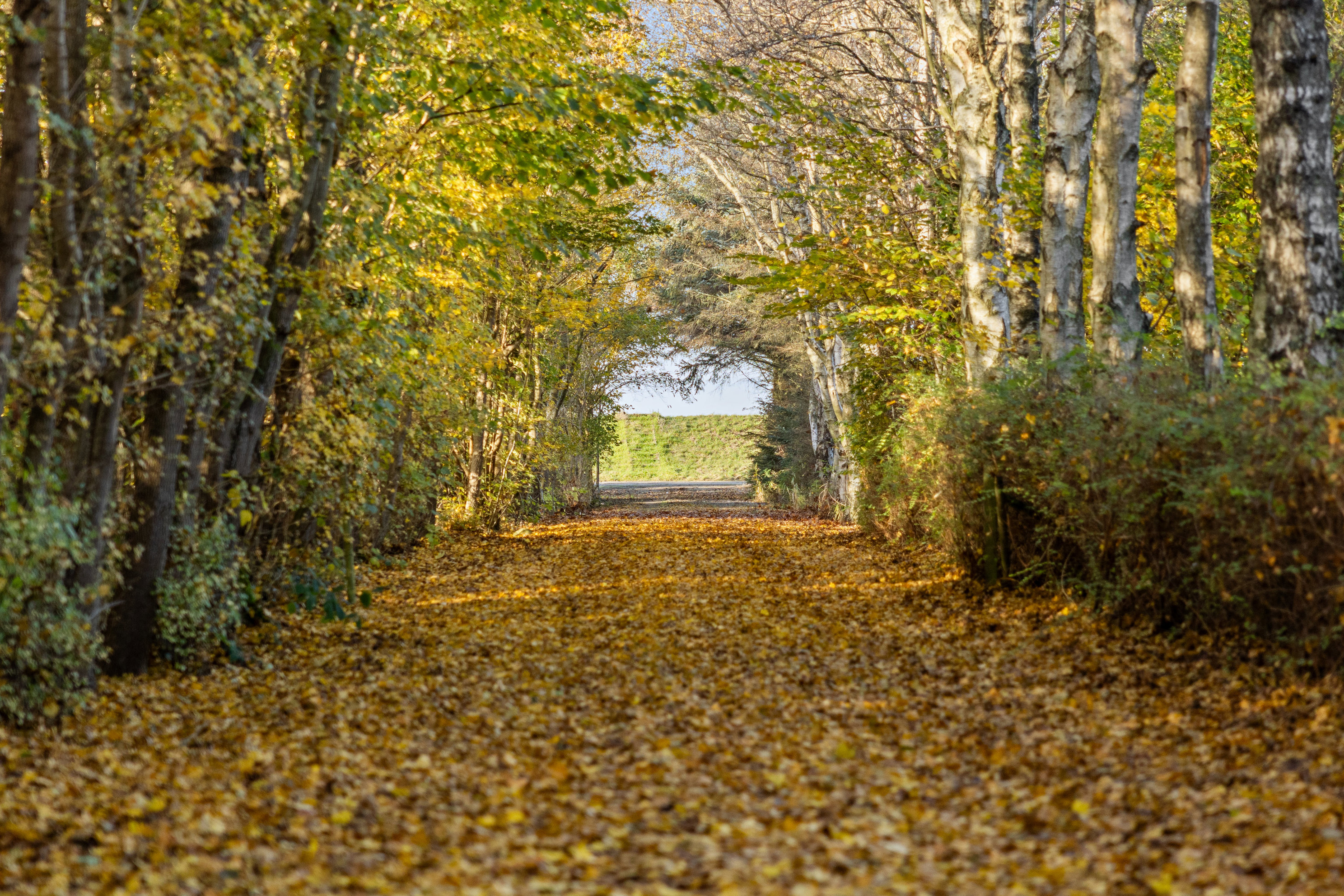 Storkenhøjvej 185, 5400 Bogense