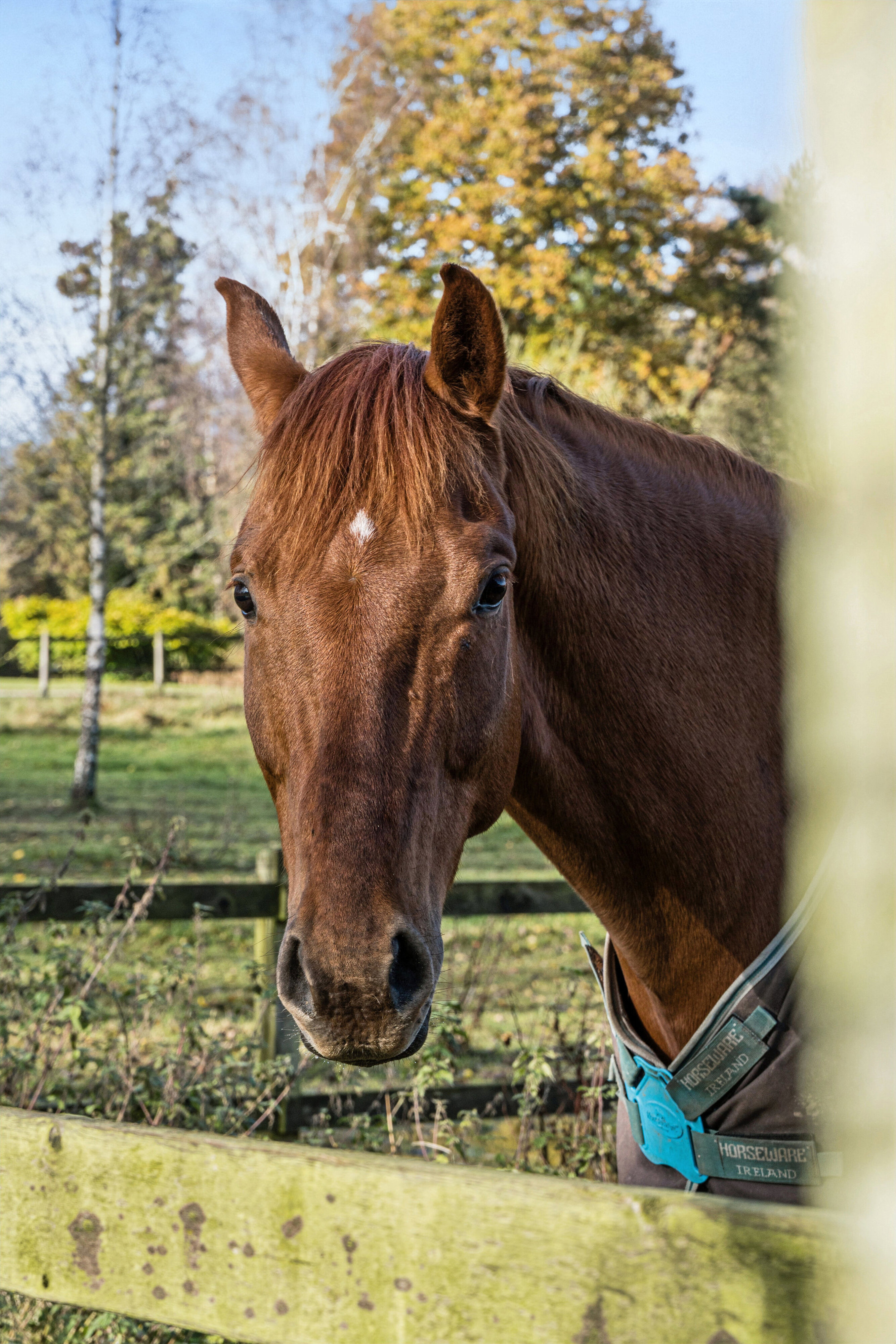 Gunderødvej 40, 2980 Kokkedal