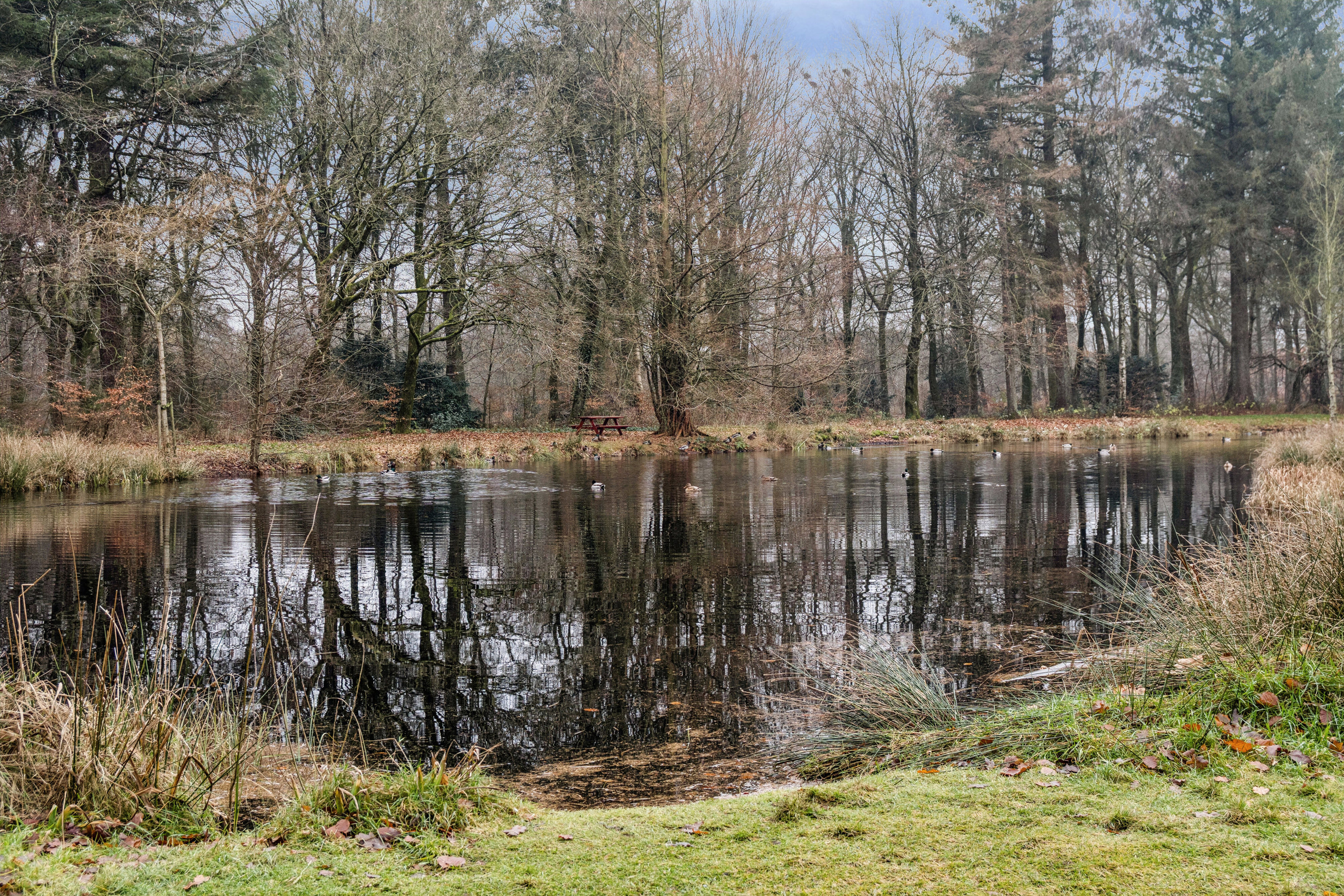 Dalgasgade 17A, st. th., 7400 Herning