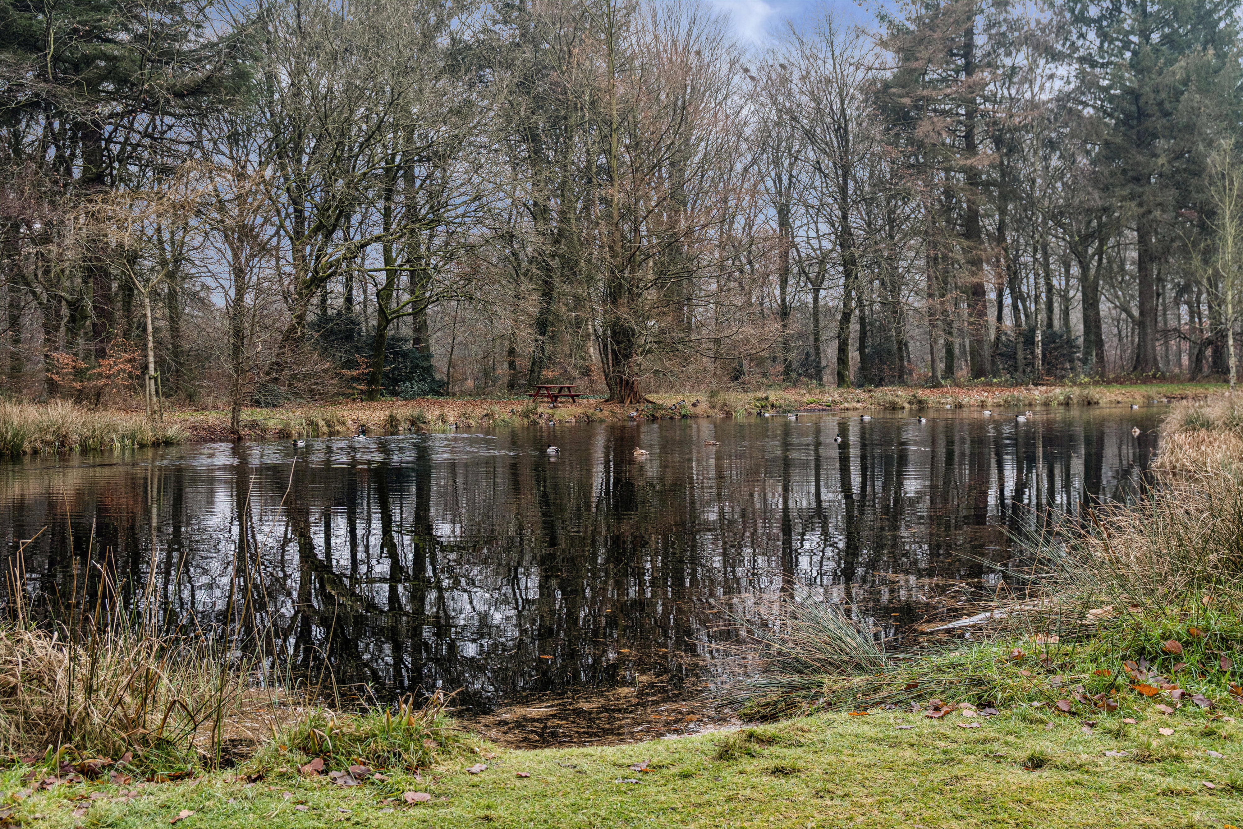 Dalgasgade 17A, st. tv., 7400 Herning