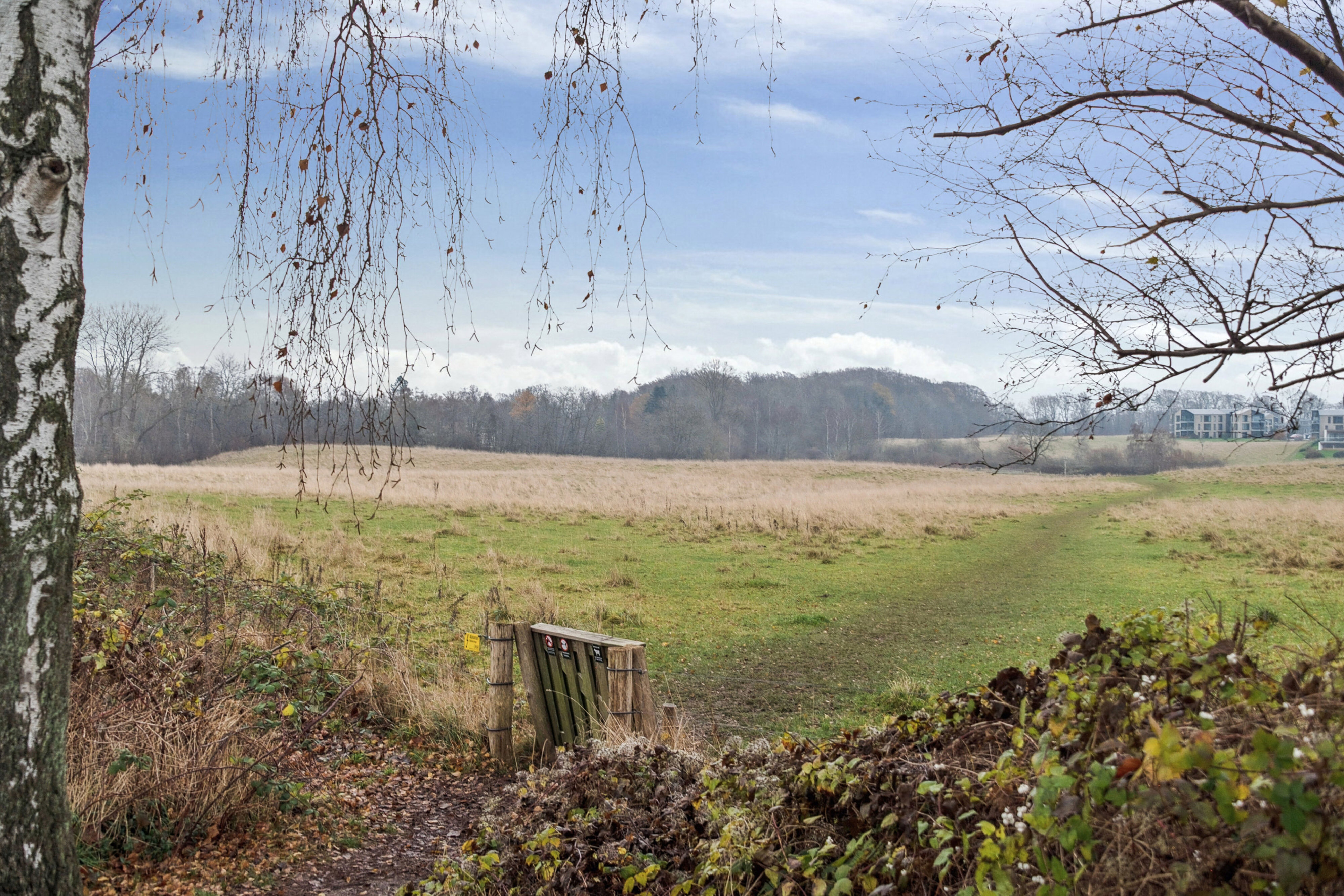 Sandbjergvej 77, 2950 Vedbæk