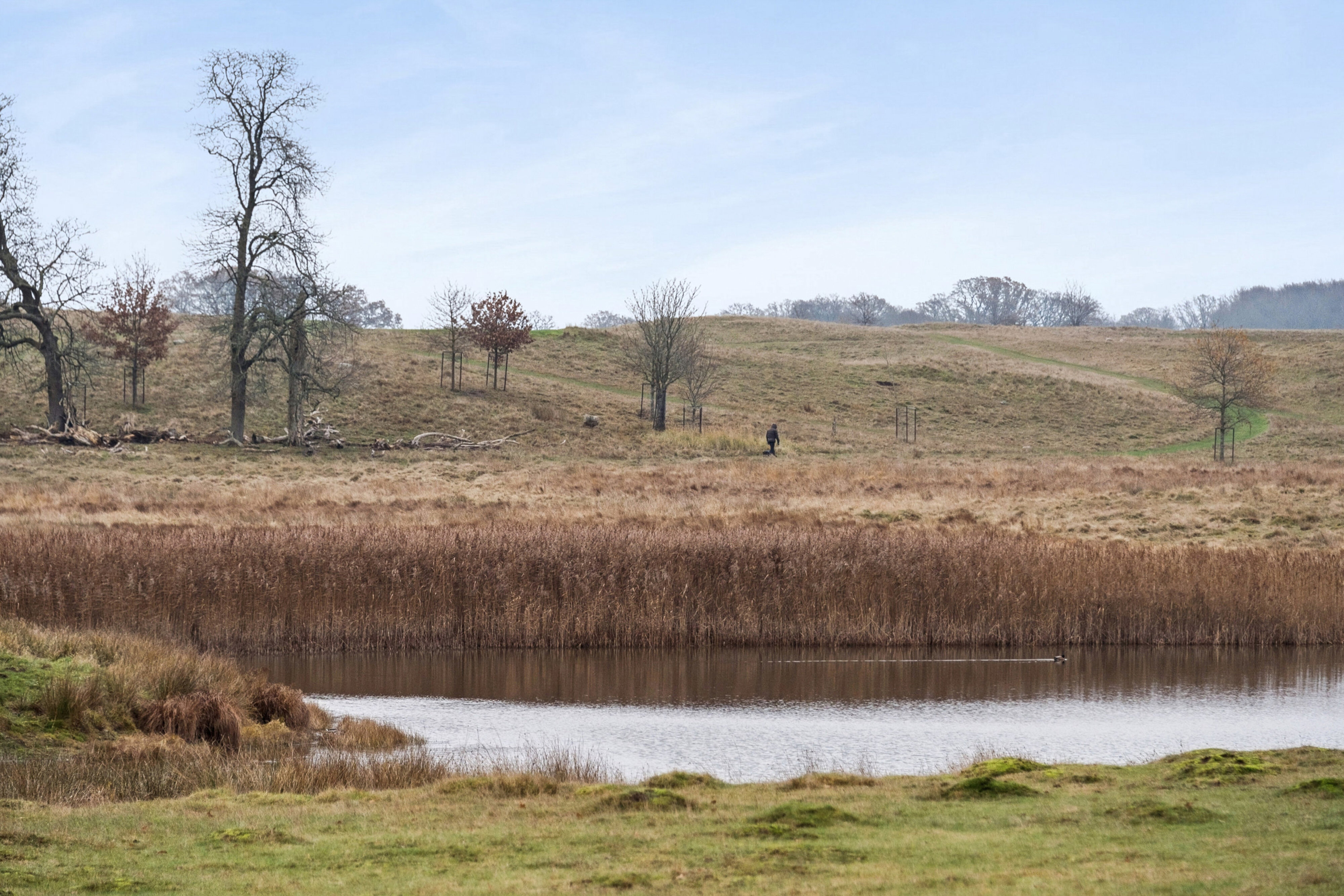 Hjortekærbakken 9, 2800 Kongens Lyngby