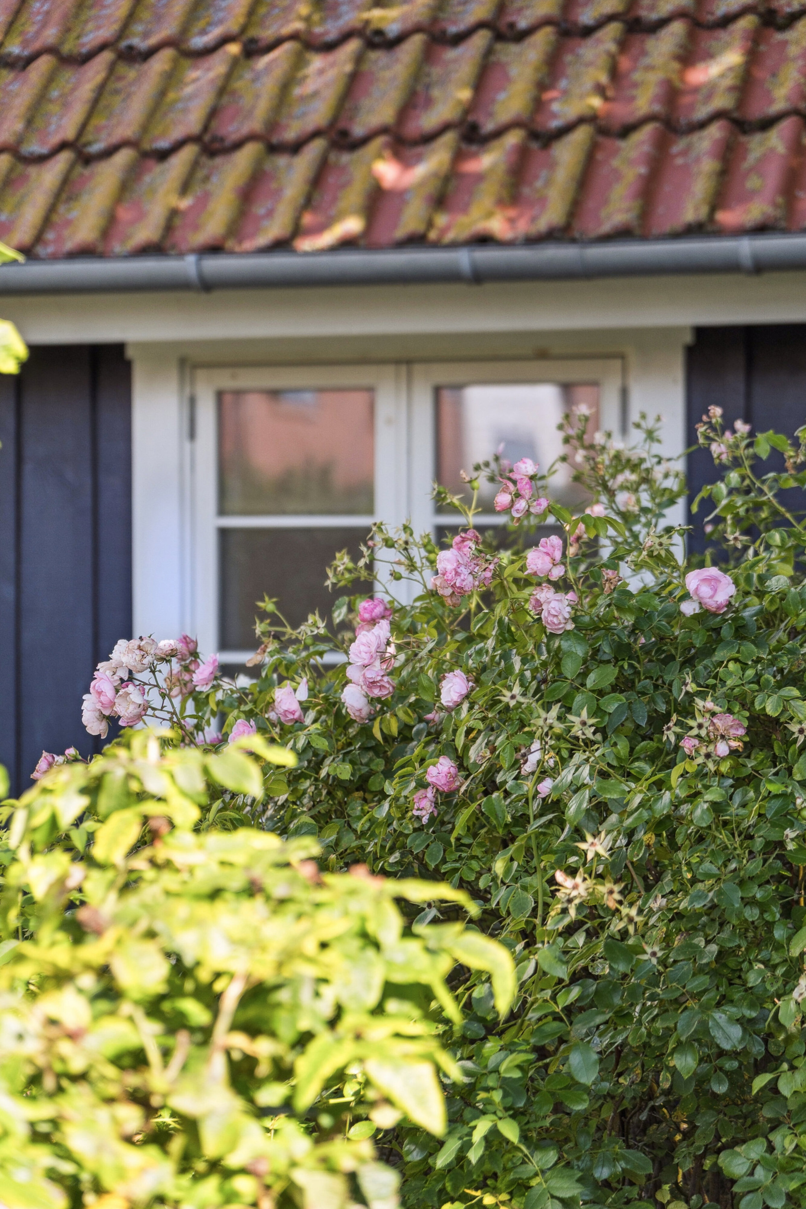 Engstien 4A, 2791 Dragør