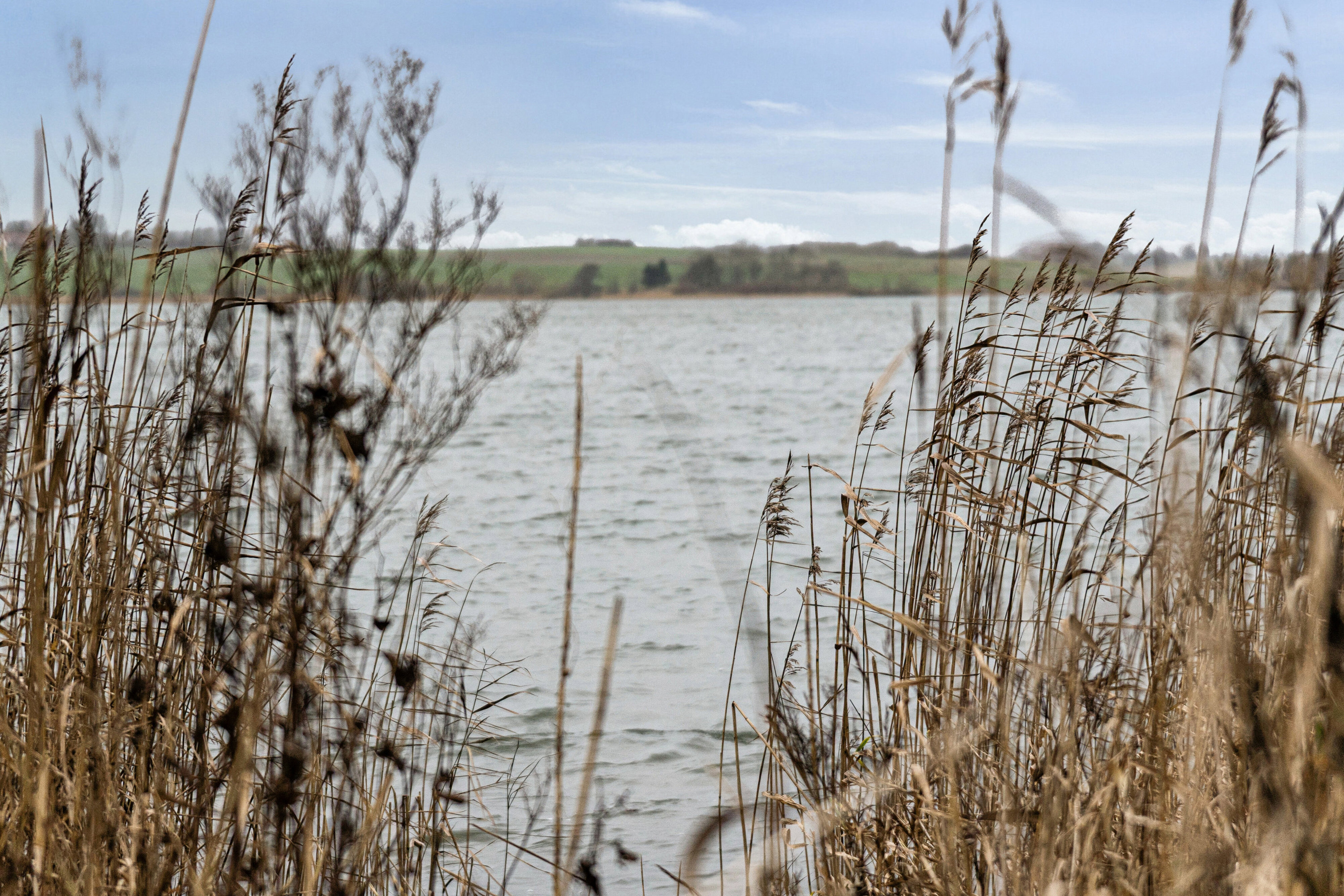 Hasselvangen 10, 8355 Solbjerg