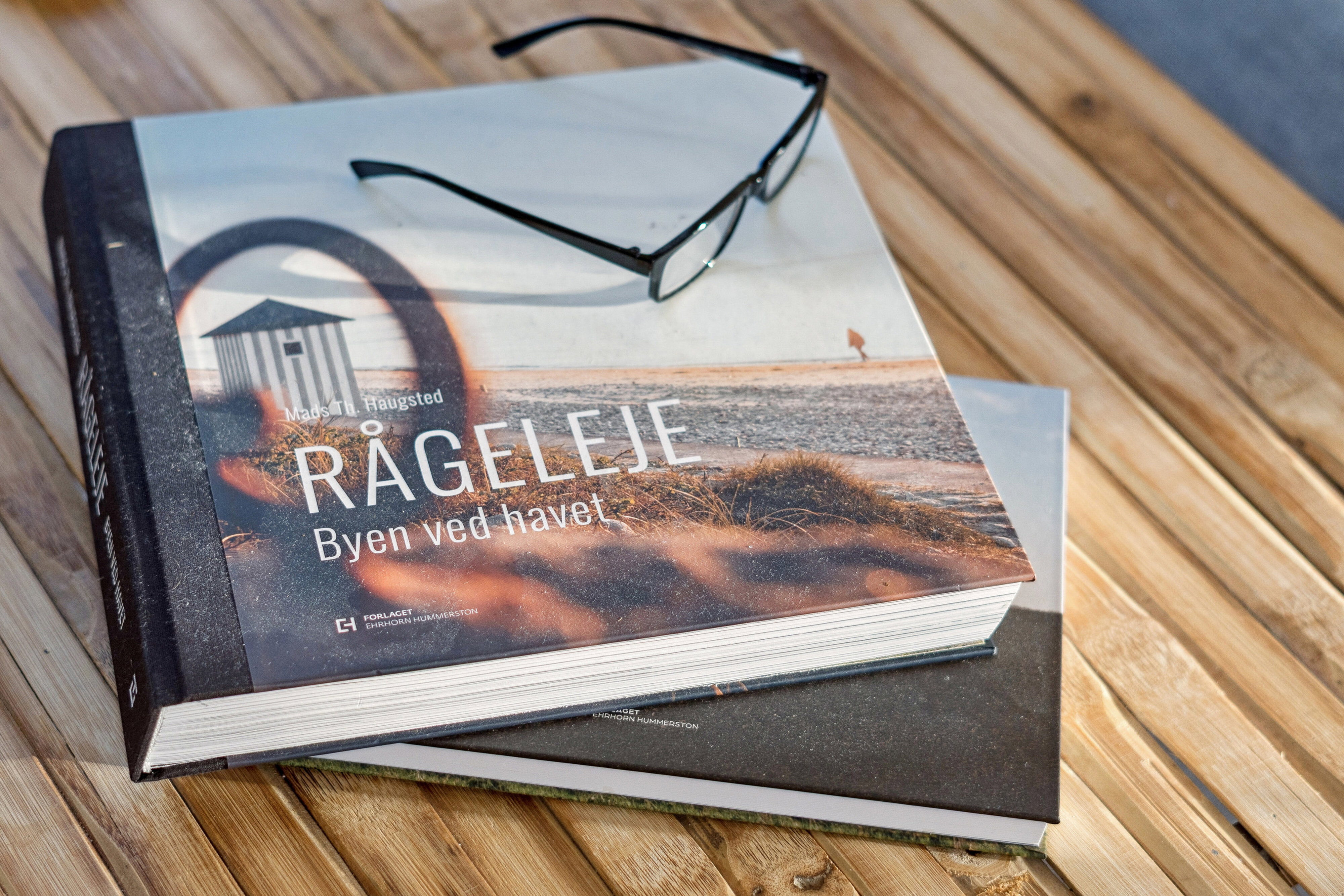 Riishøj-Åsen 13, 3210 Vejby