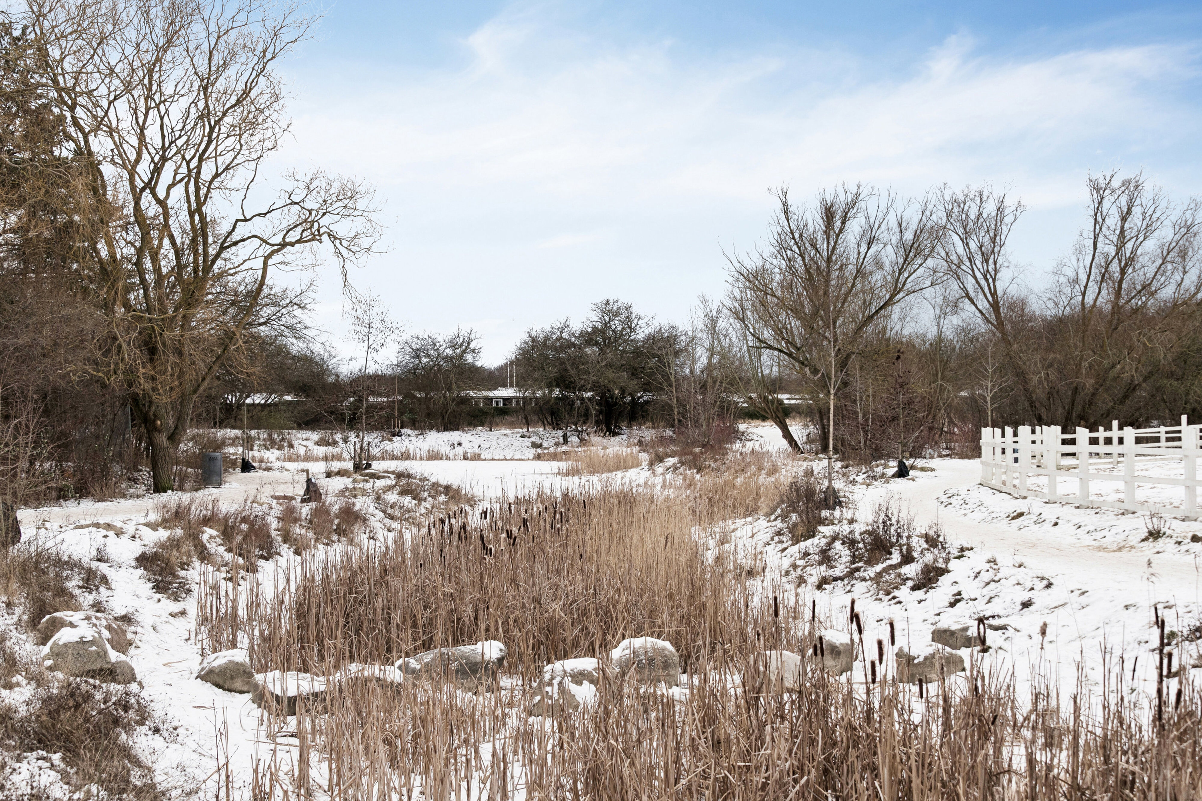 Schubertsvej 13, 1. th., 2450 København SV