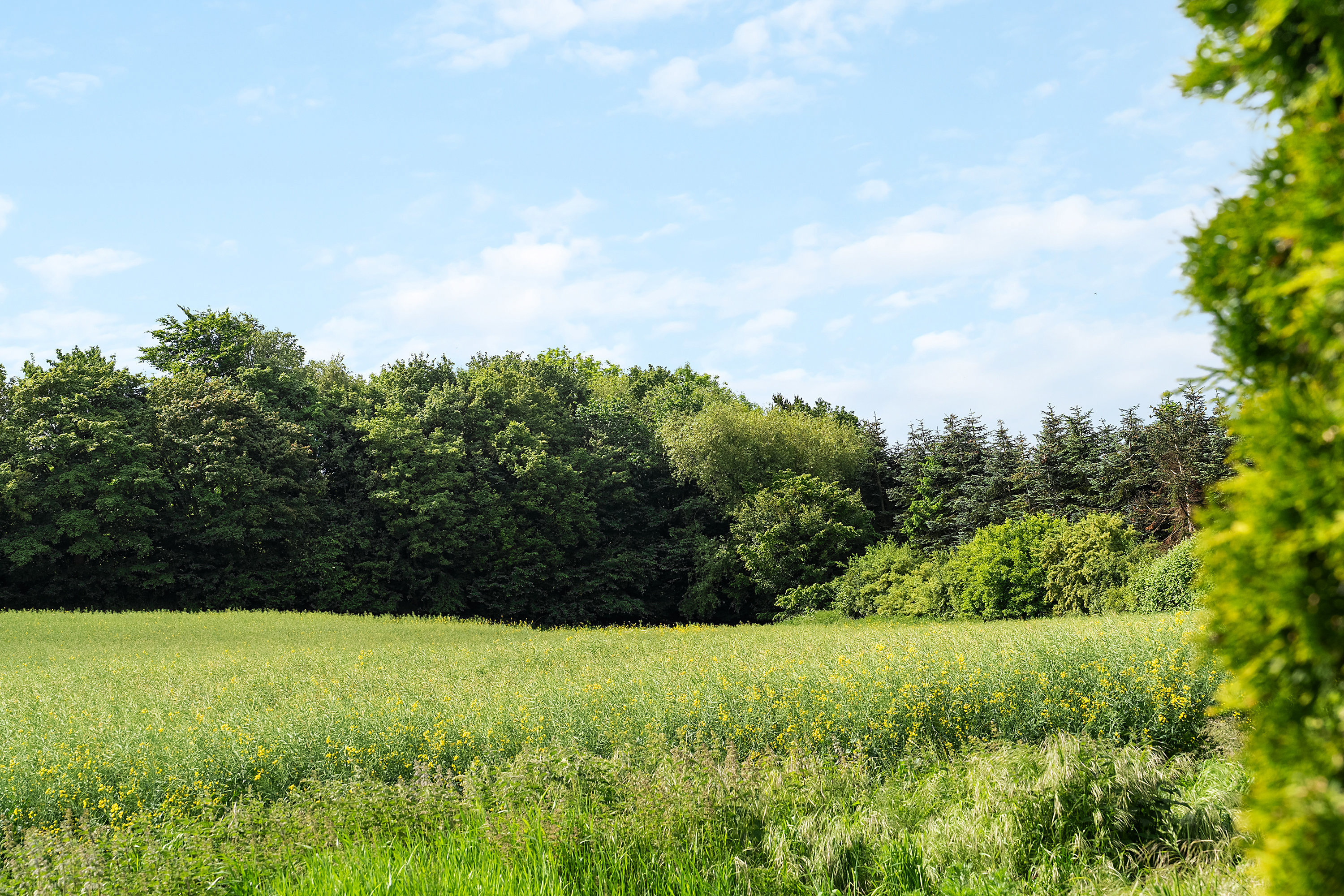 Løserupvej 22, 4300 Holbæk