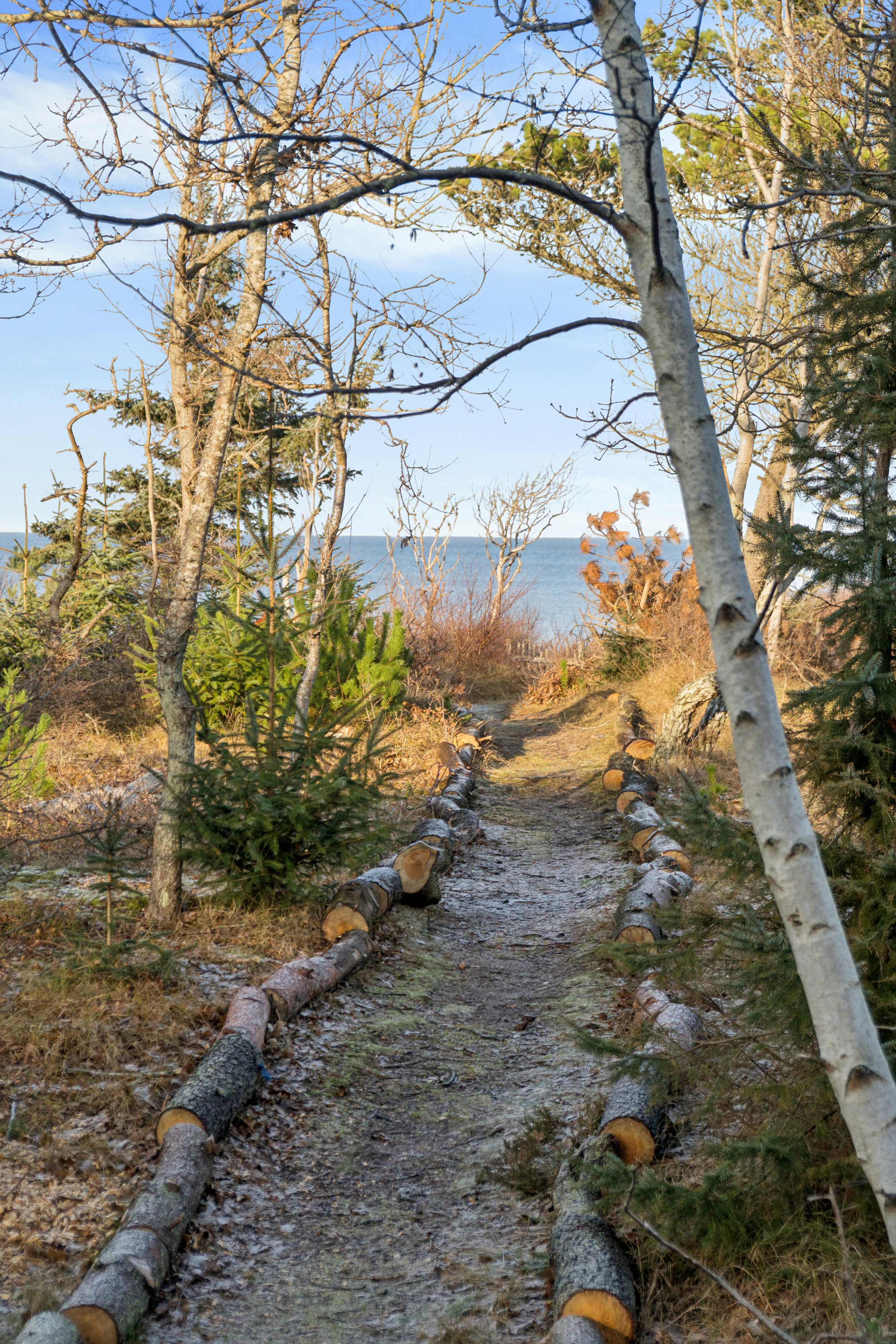 Mågevej 5, 3250 Gilleleje