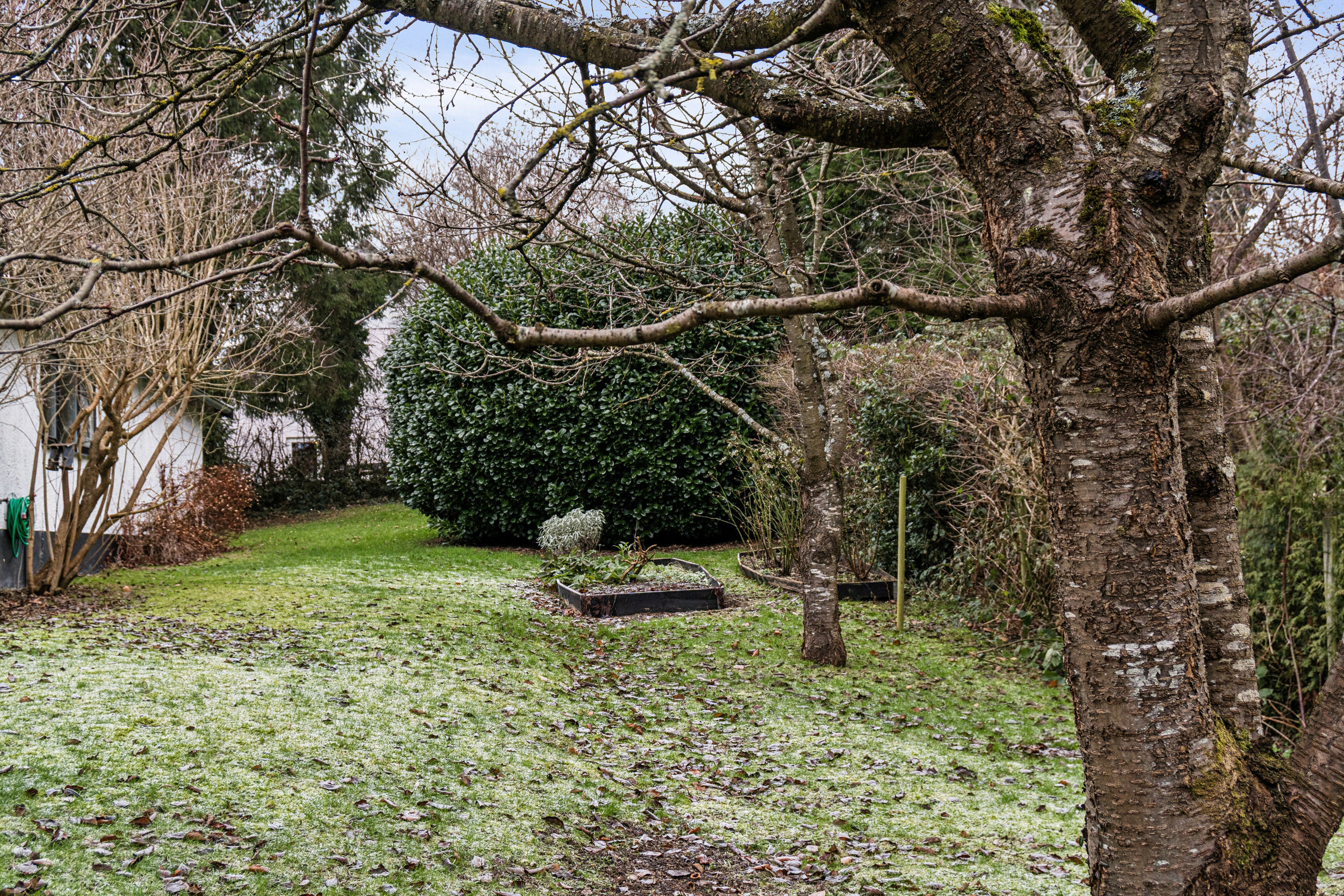 Spejderbakken 13, 2960 Rungsted Kyst