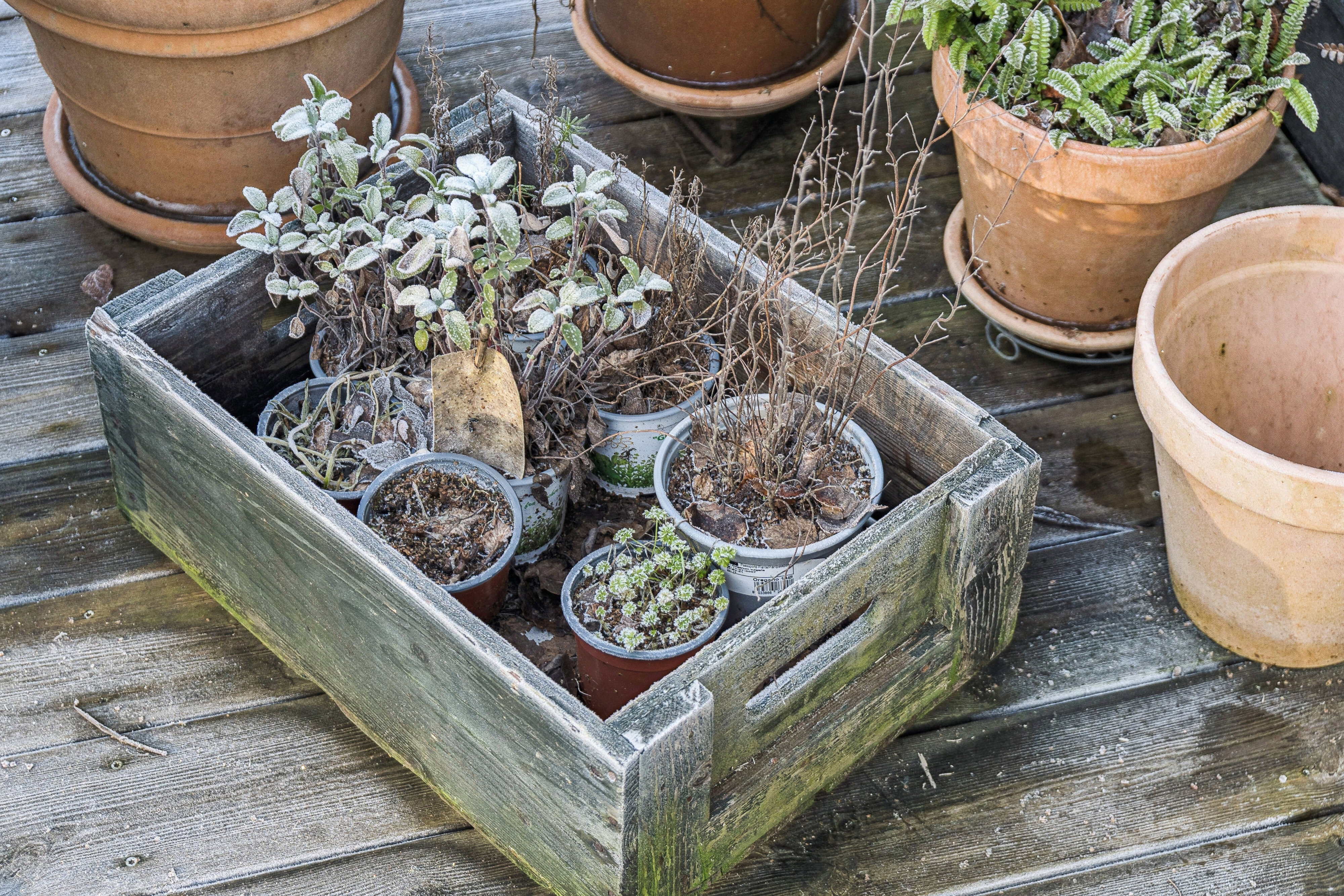 Lille Ryvej 68, 3300 Frederiksværk