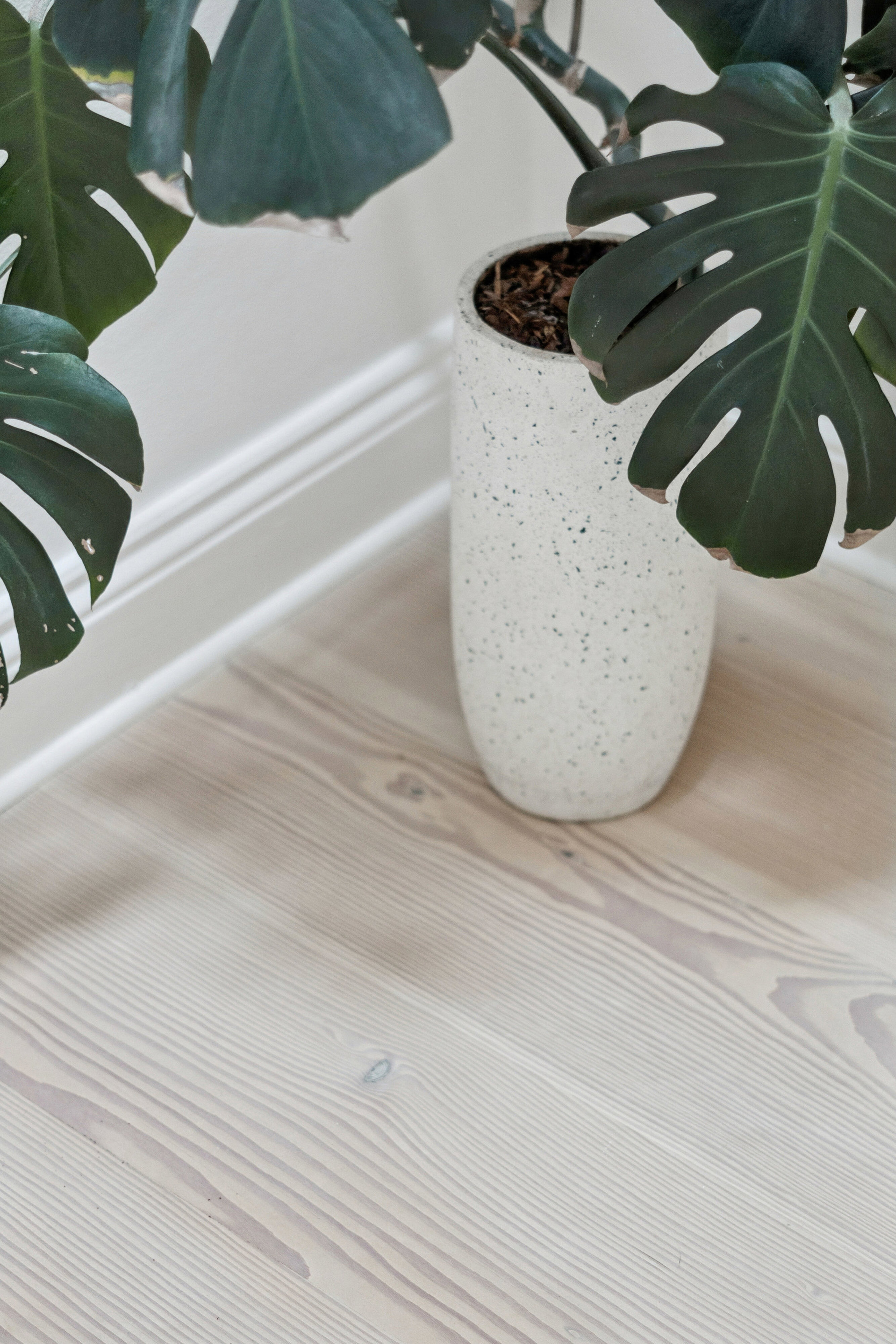 Solvangsalle 20, 8300 Odder