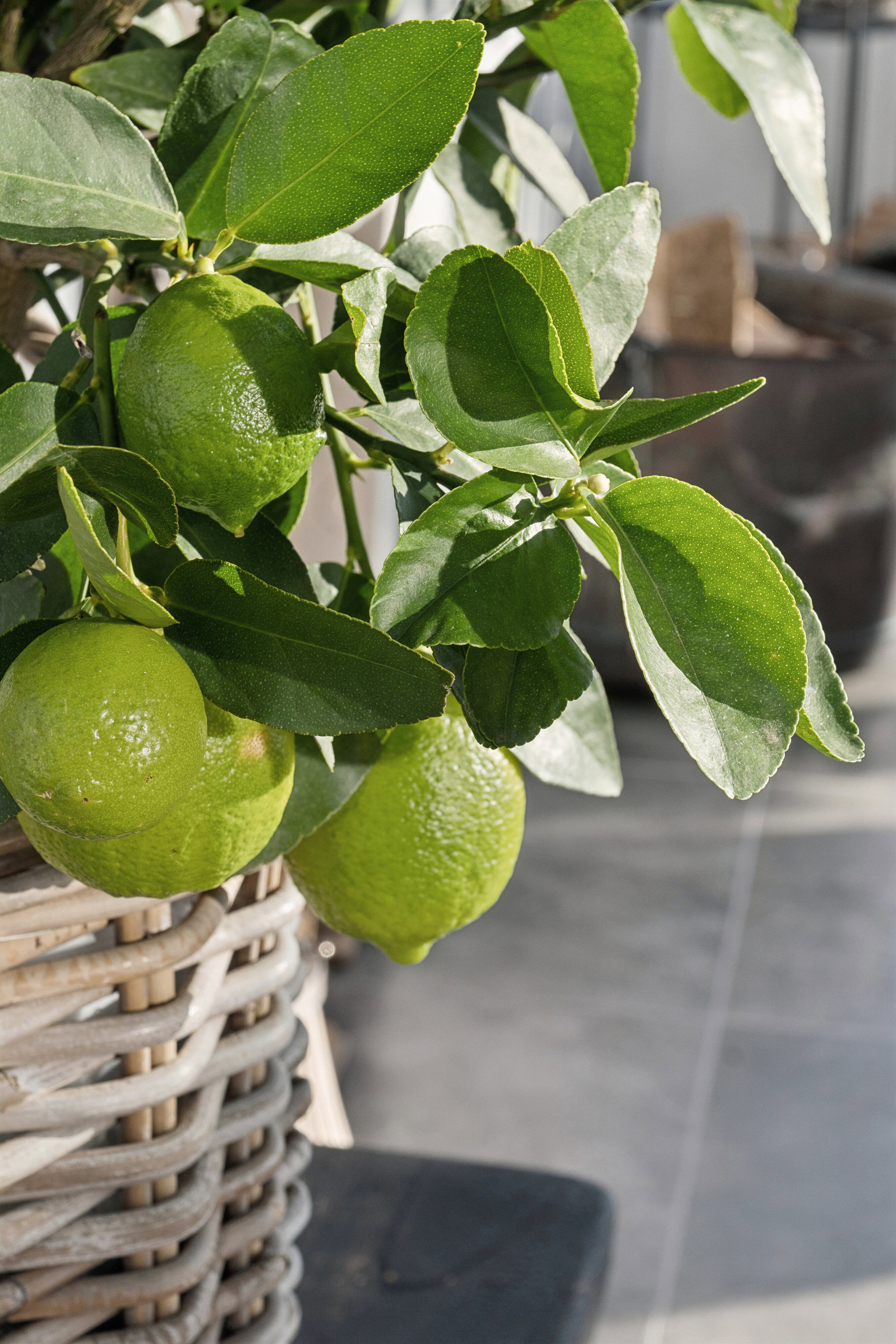 Store Valbyvej 273, 3670 Veksø Sjælland