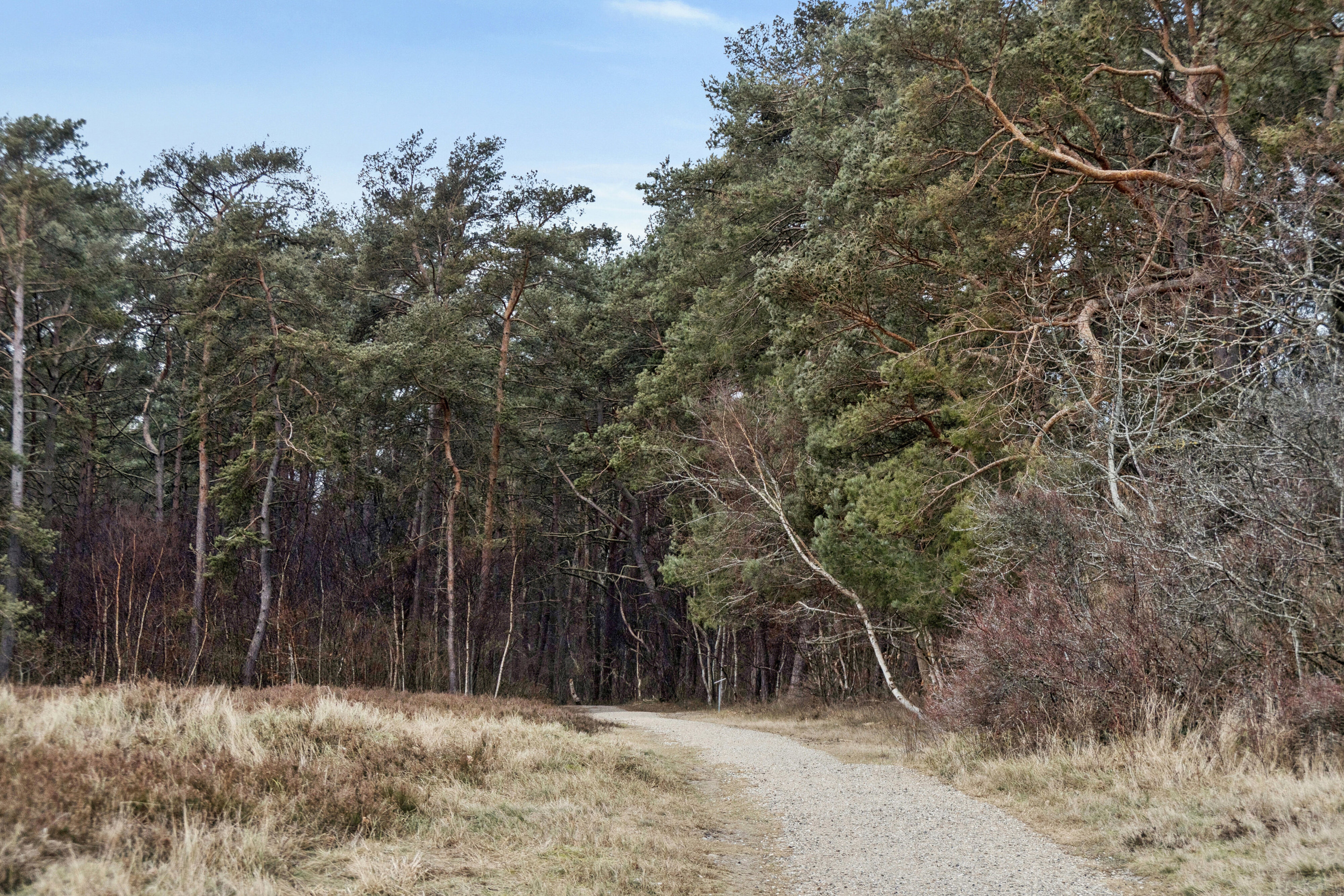 Poppelstien 5, 8250 Egå