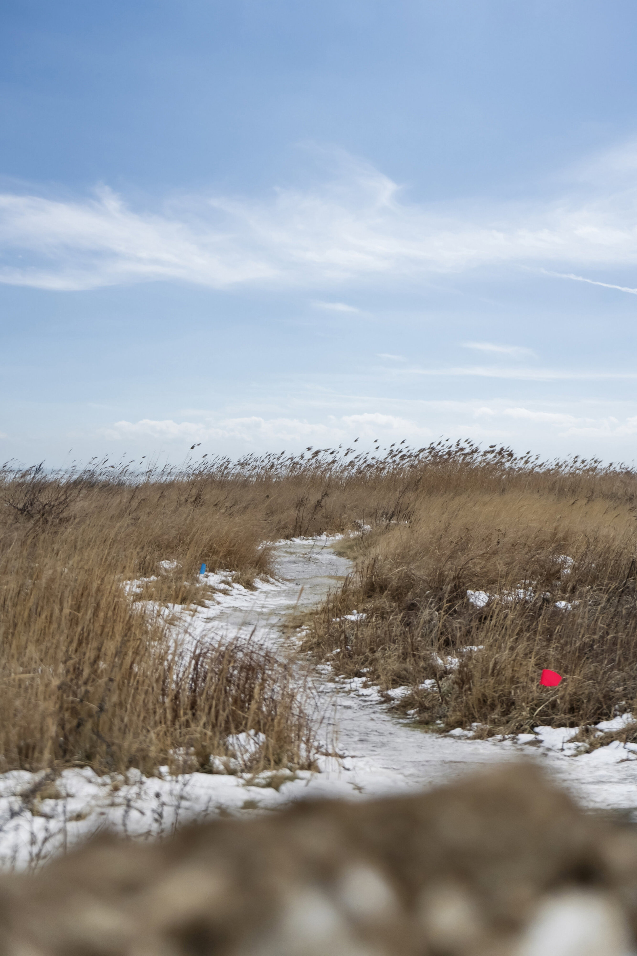 Strandjægervej 22, 2791 Dragør