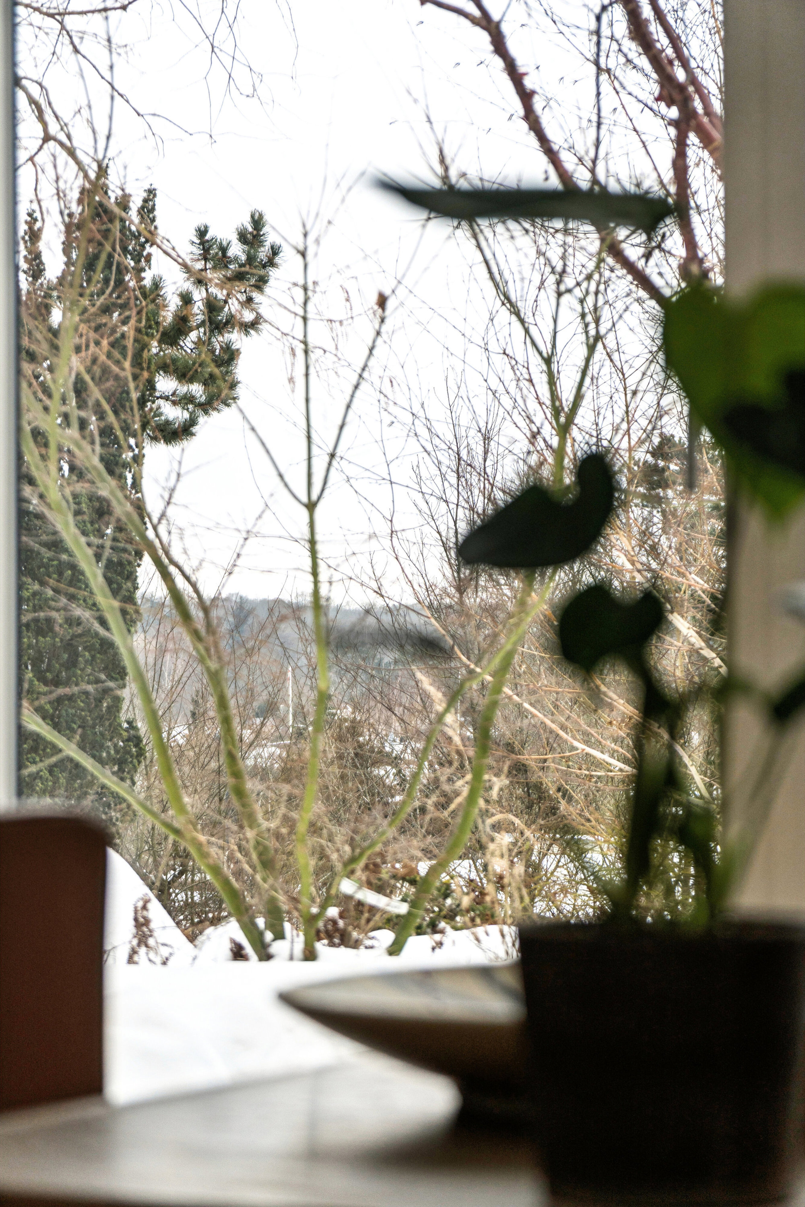 Baunestien 4, 3460 Birkerød