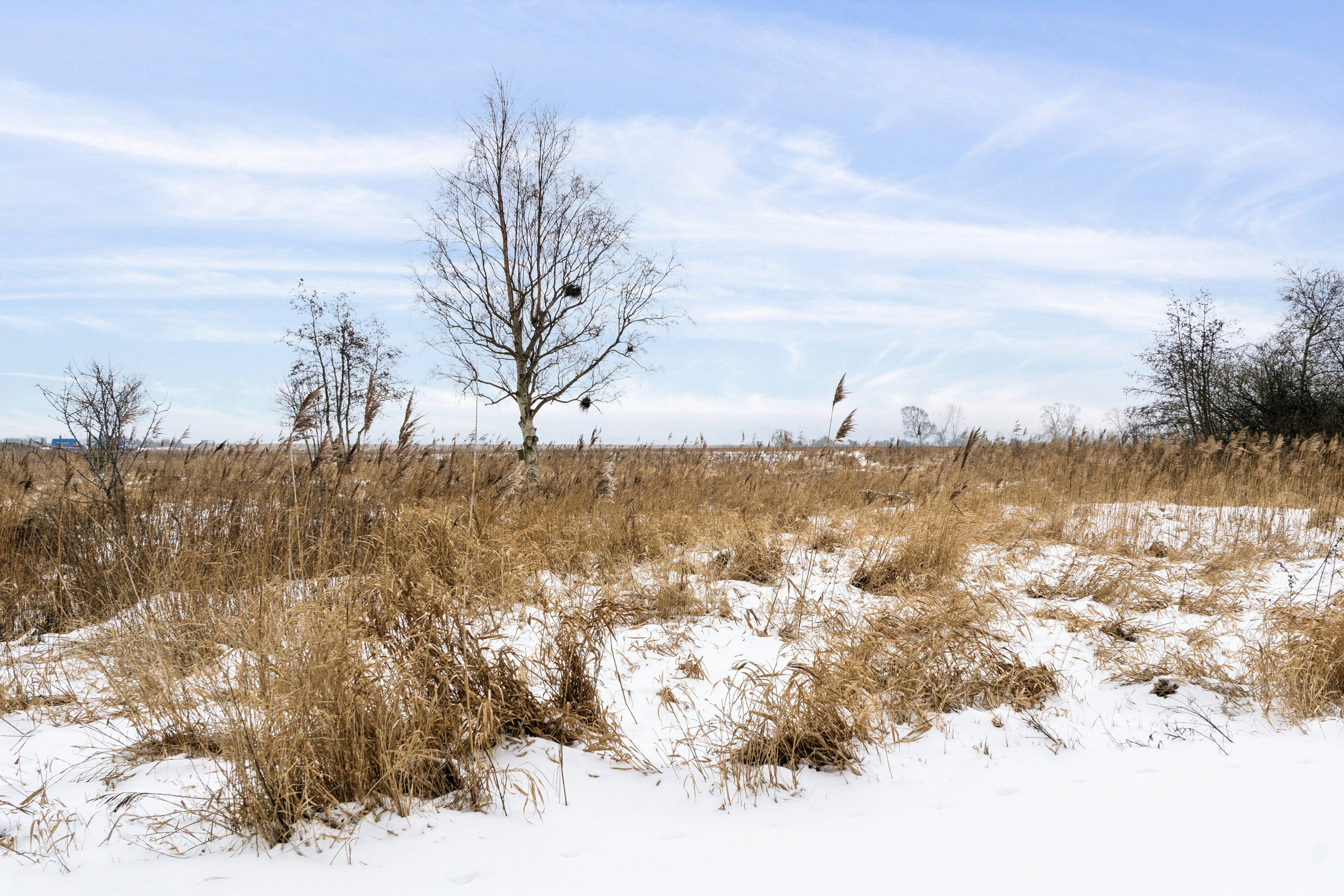 Engpibervej 14, 3300 Frederiksværk