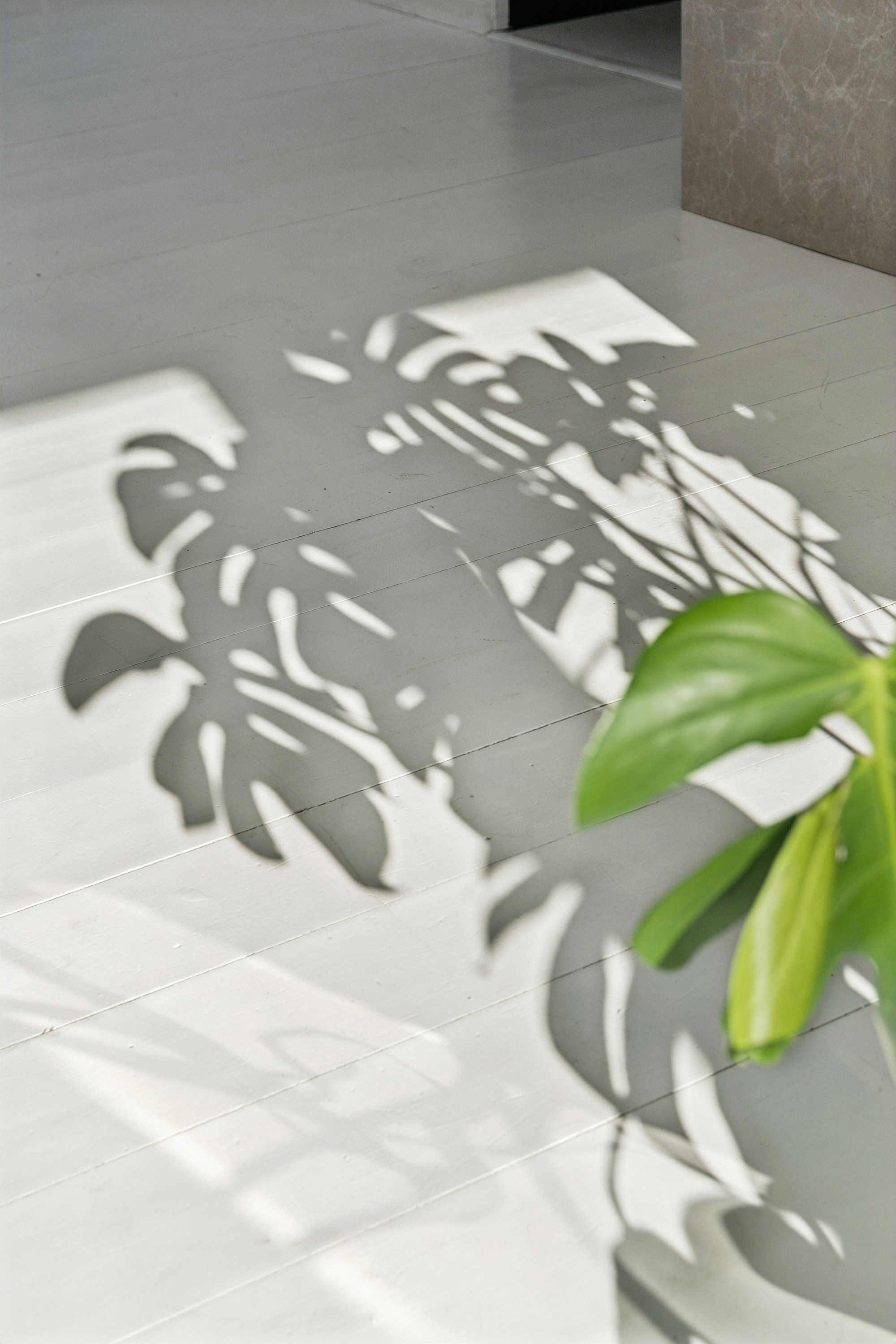 Strandleddet 10, 3210 Vejby