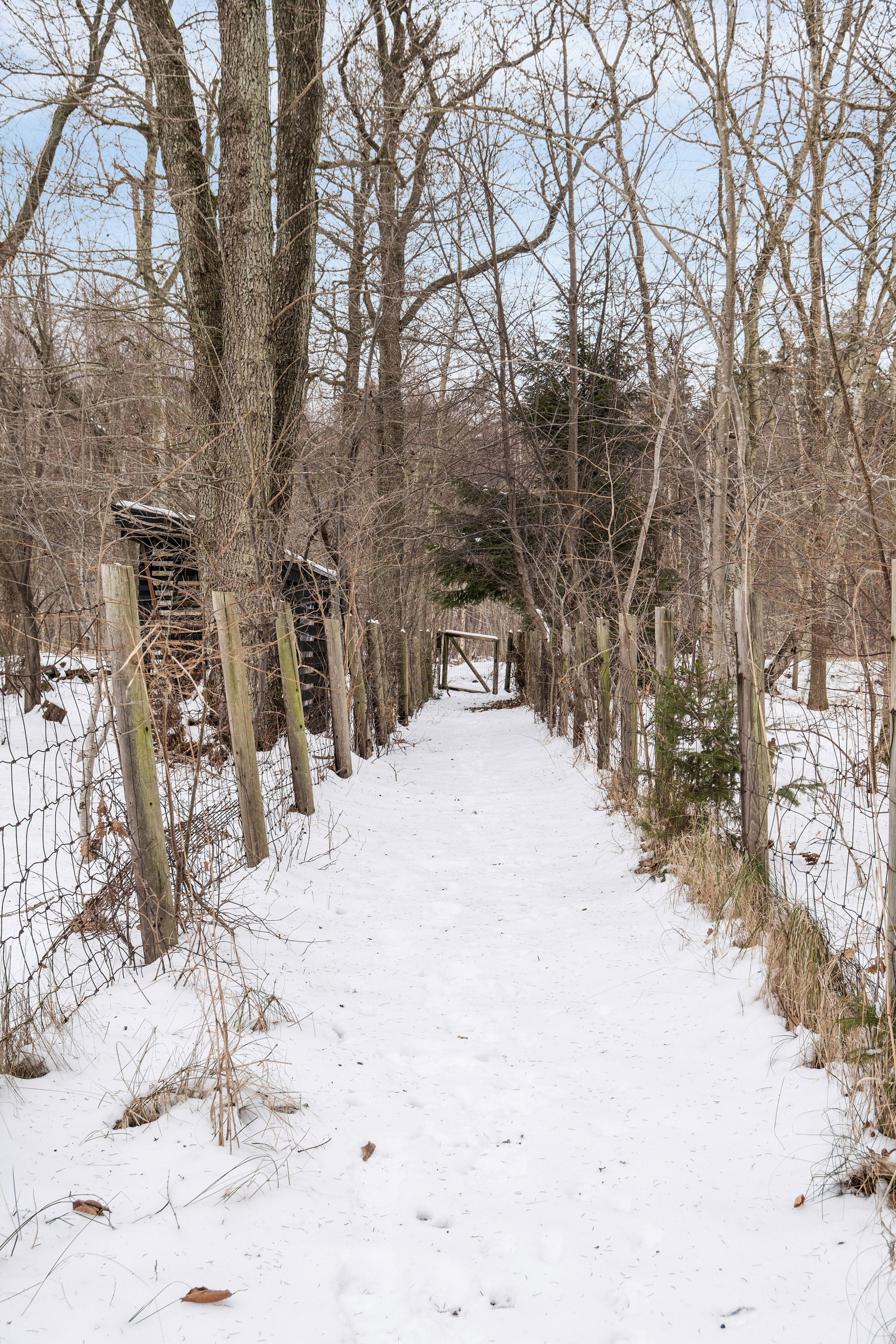 Lyngfeldtsvej 11, 3300 Frederiksværk
