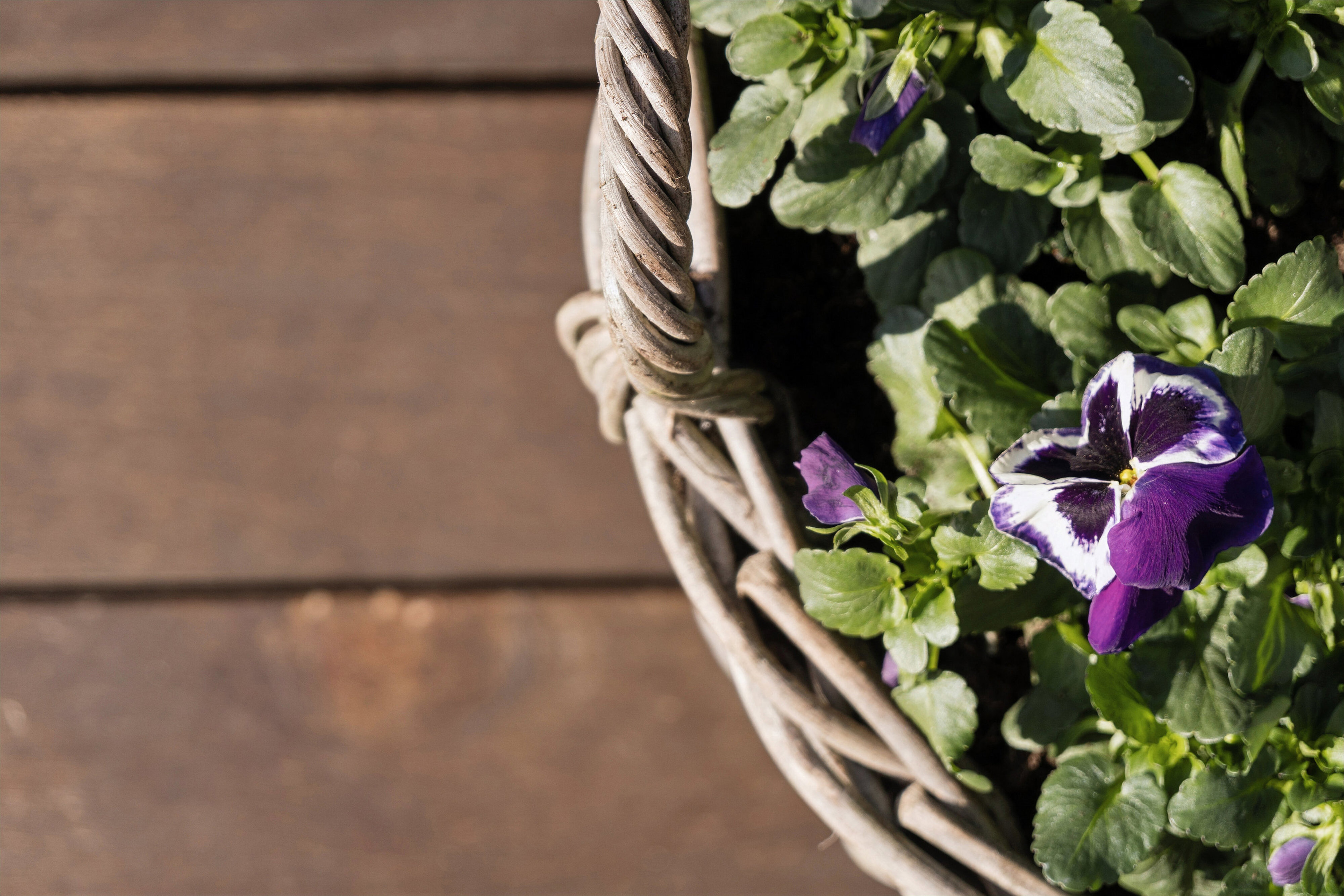 Poppelstien 5, 8250 Egå