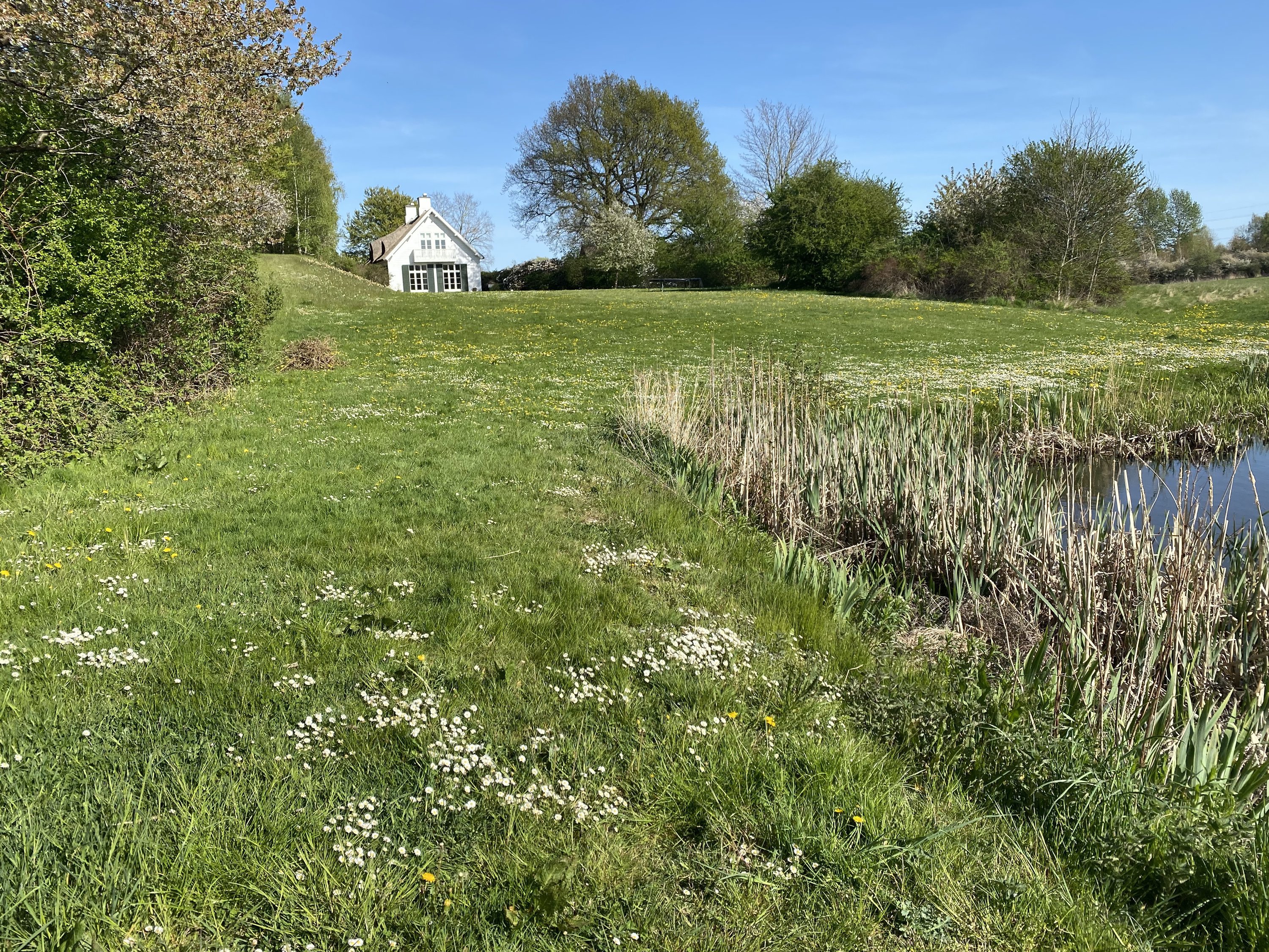 Segnerøddalsvej 5, 2970 Hørsholm