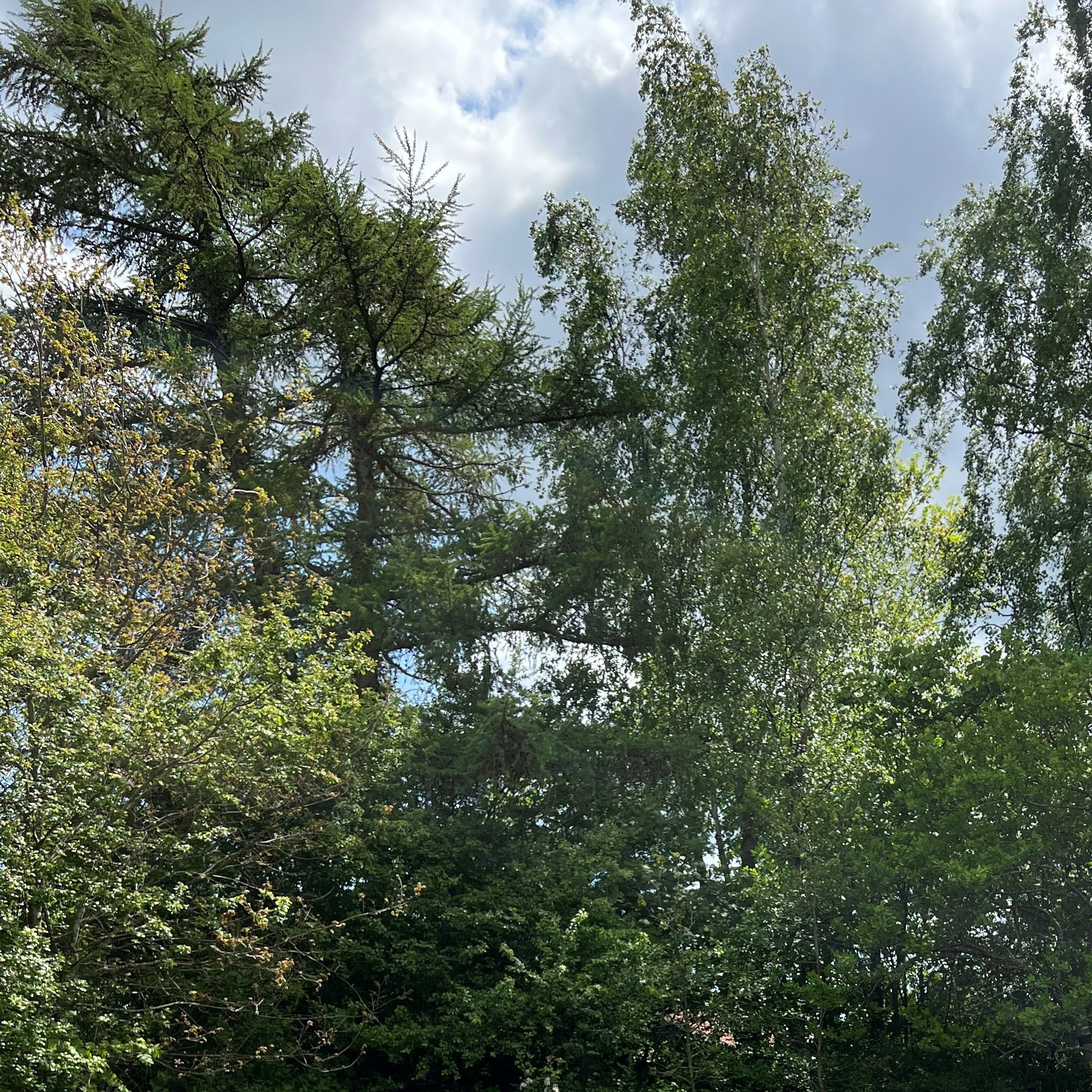 Agerkær 3, 3250 Gilleleje