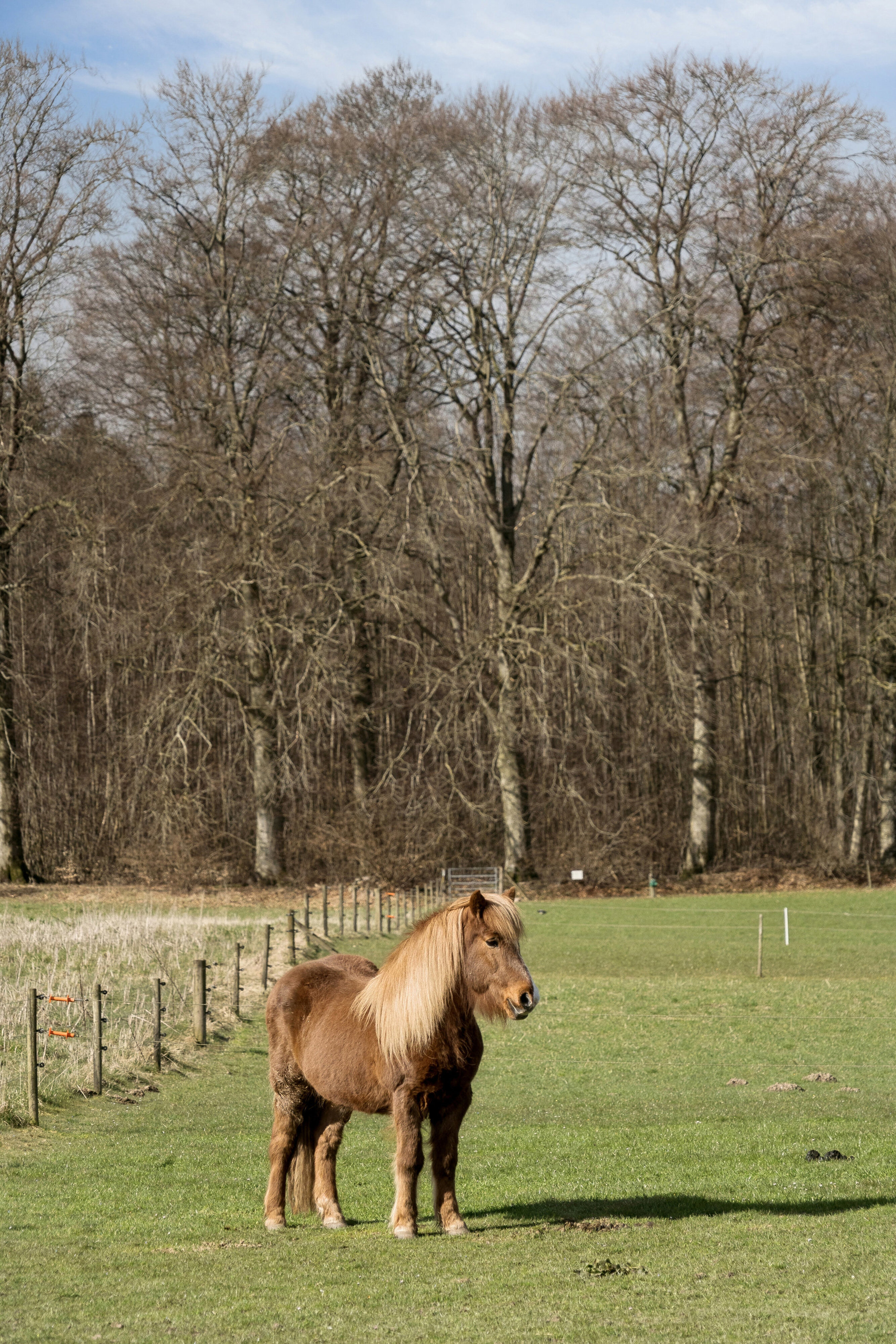 Frederikslystvej 75, 8723 Løsning
