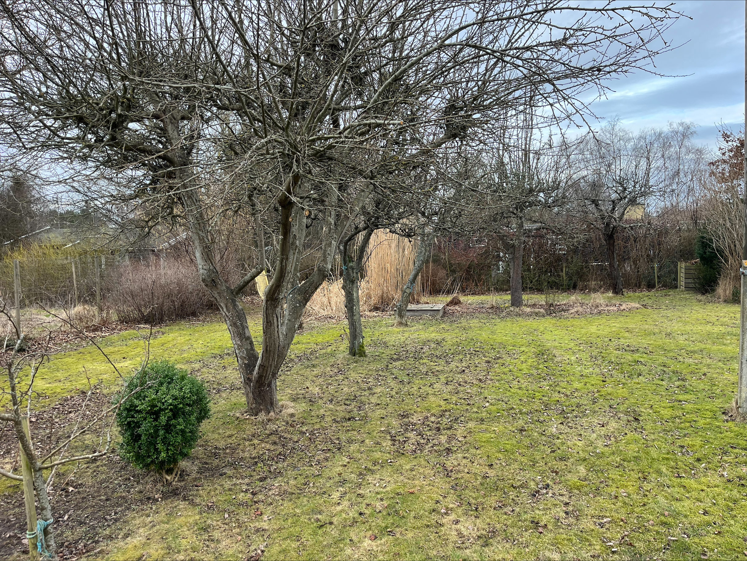 Engblommevej 31, 3210 Vejby