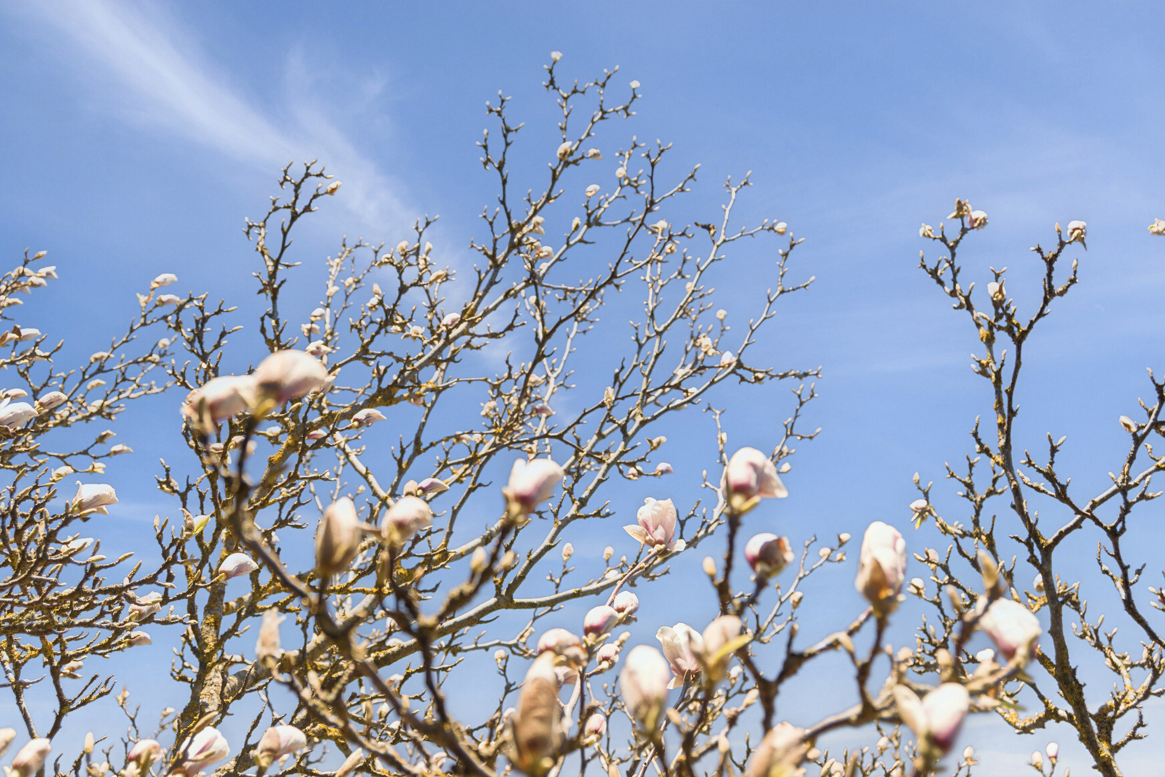 Andestien 7, 8250 Egå