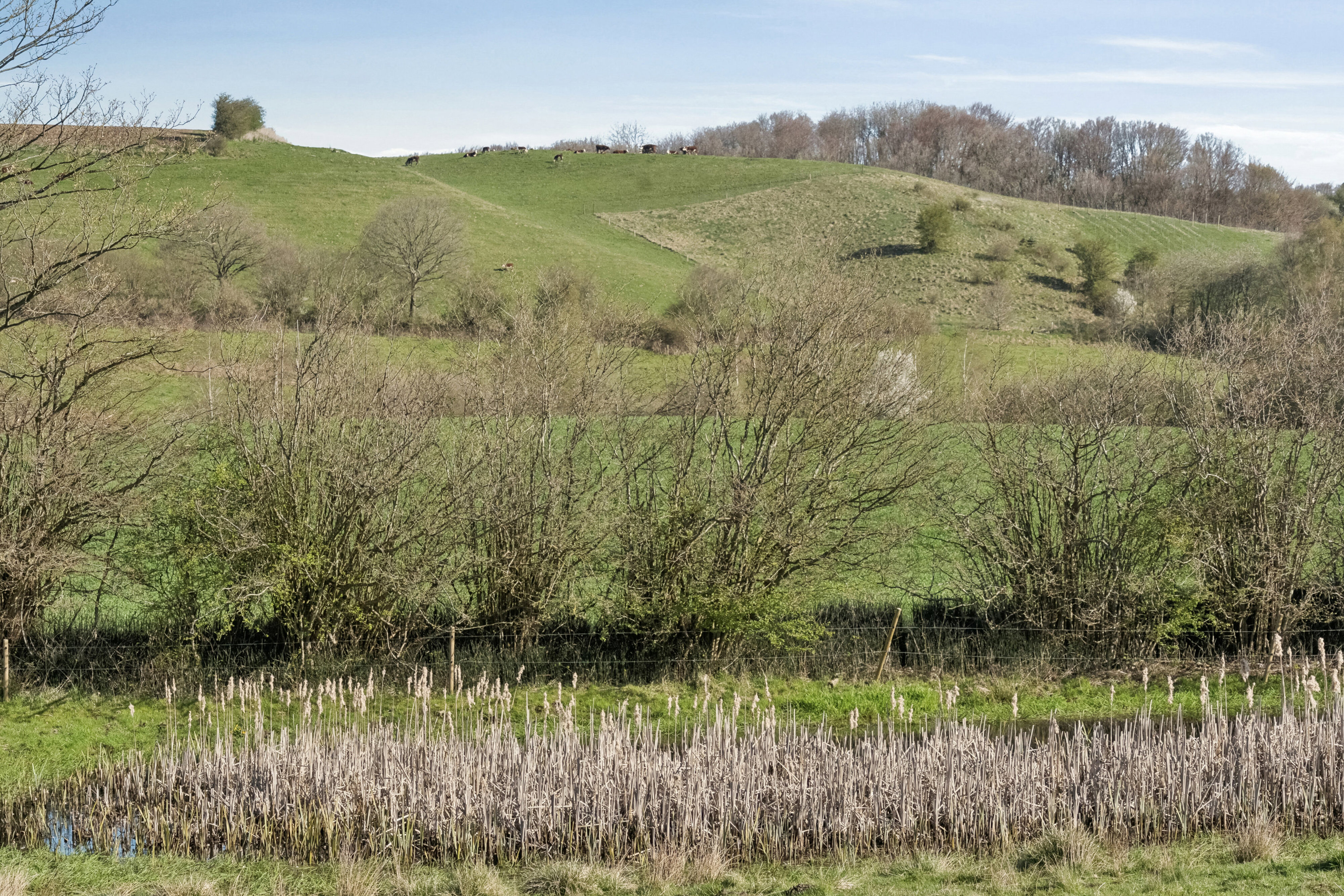 Vejlevej 65, 7182 Bredsten