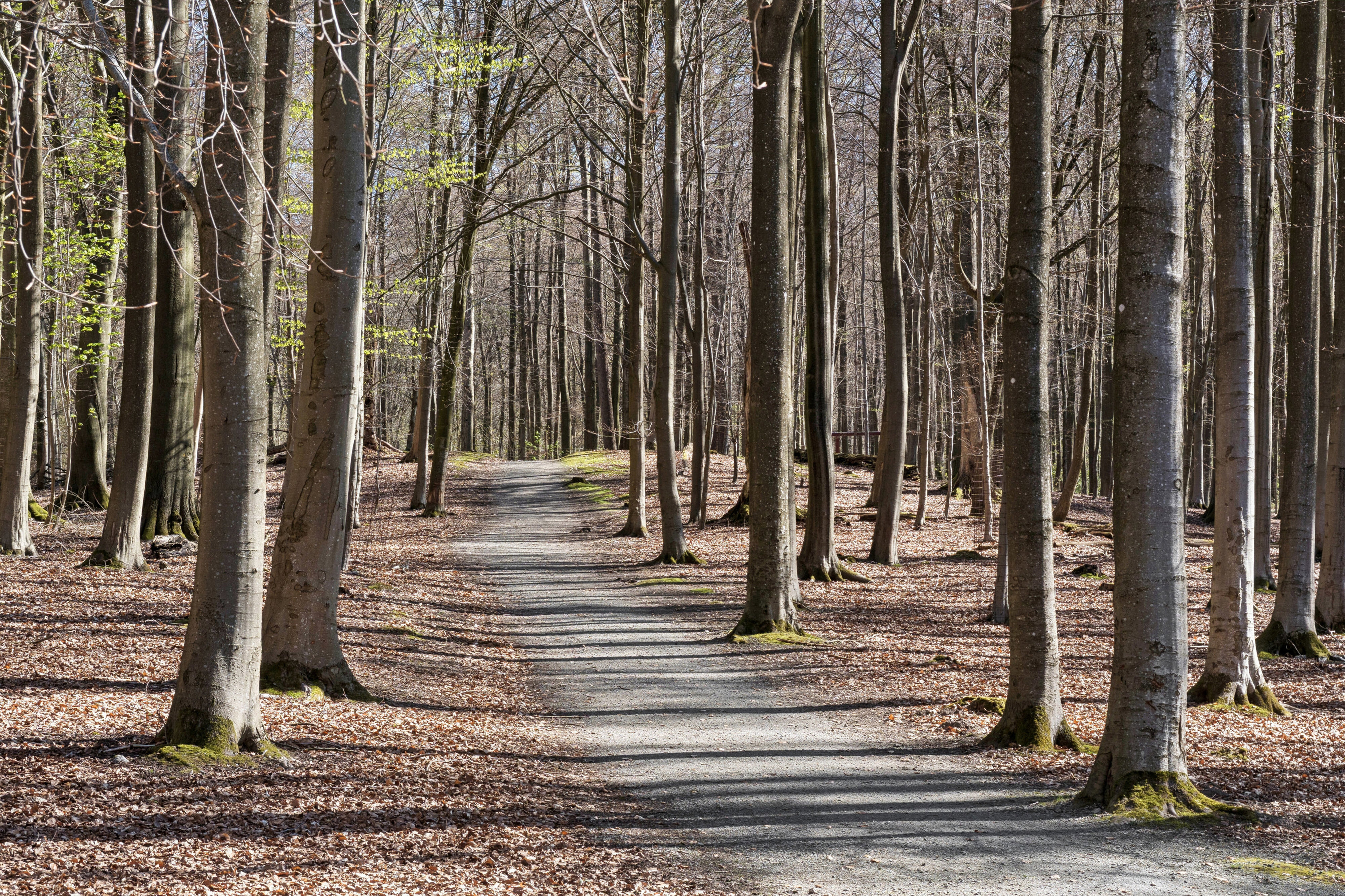 Skyttestien 26, 7100 Vejle