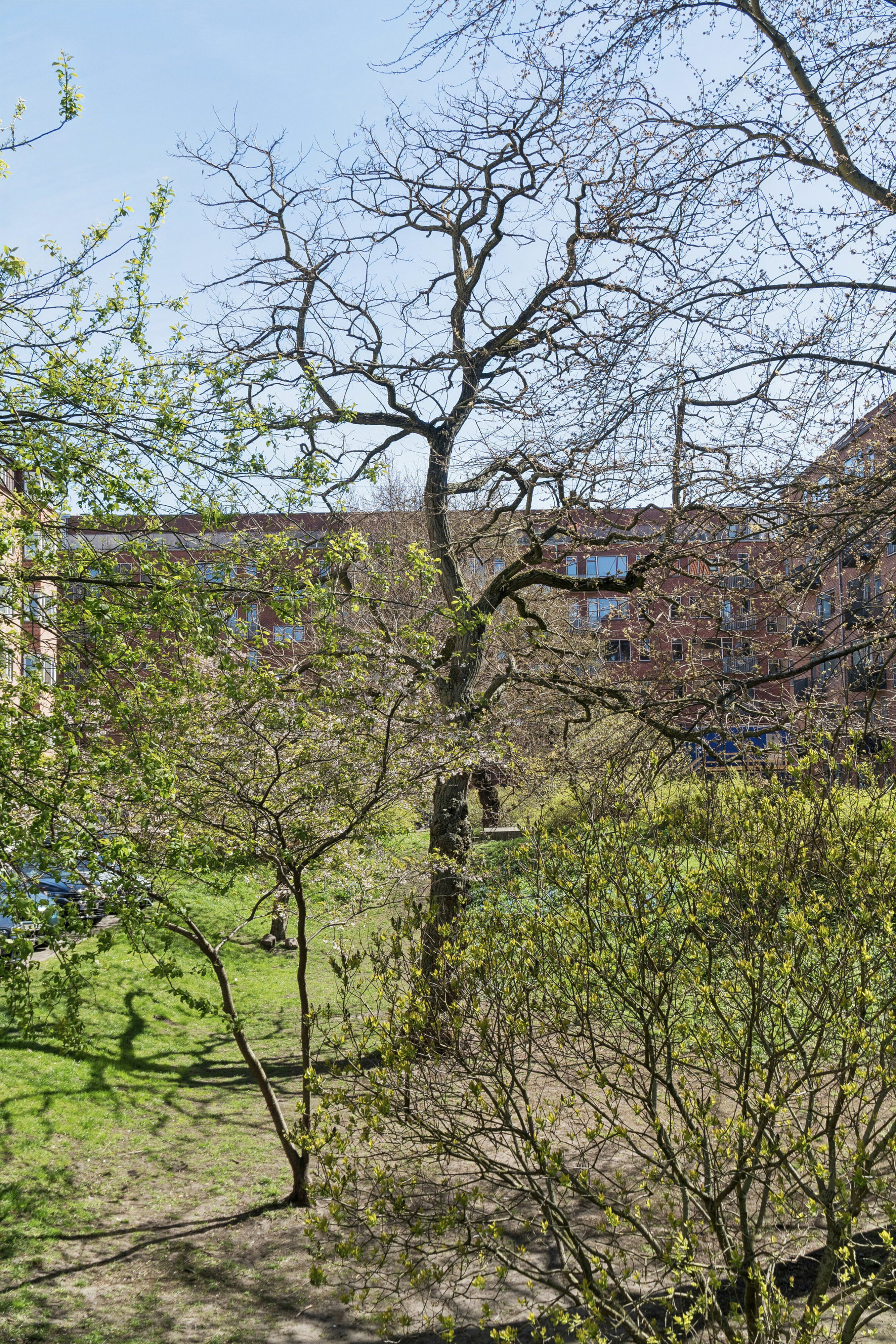 Julius Thomsens Gade 16, 2. th., 1632 København V