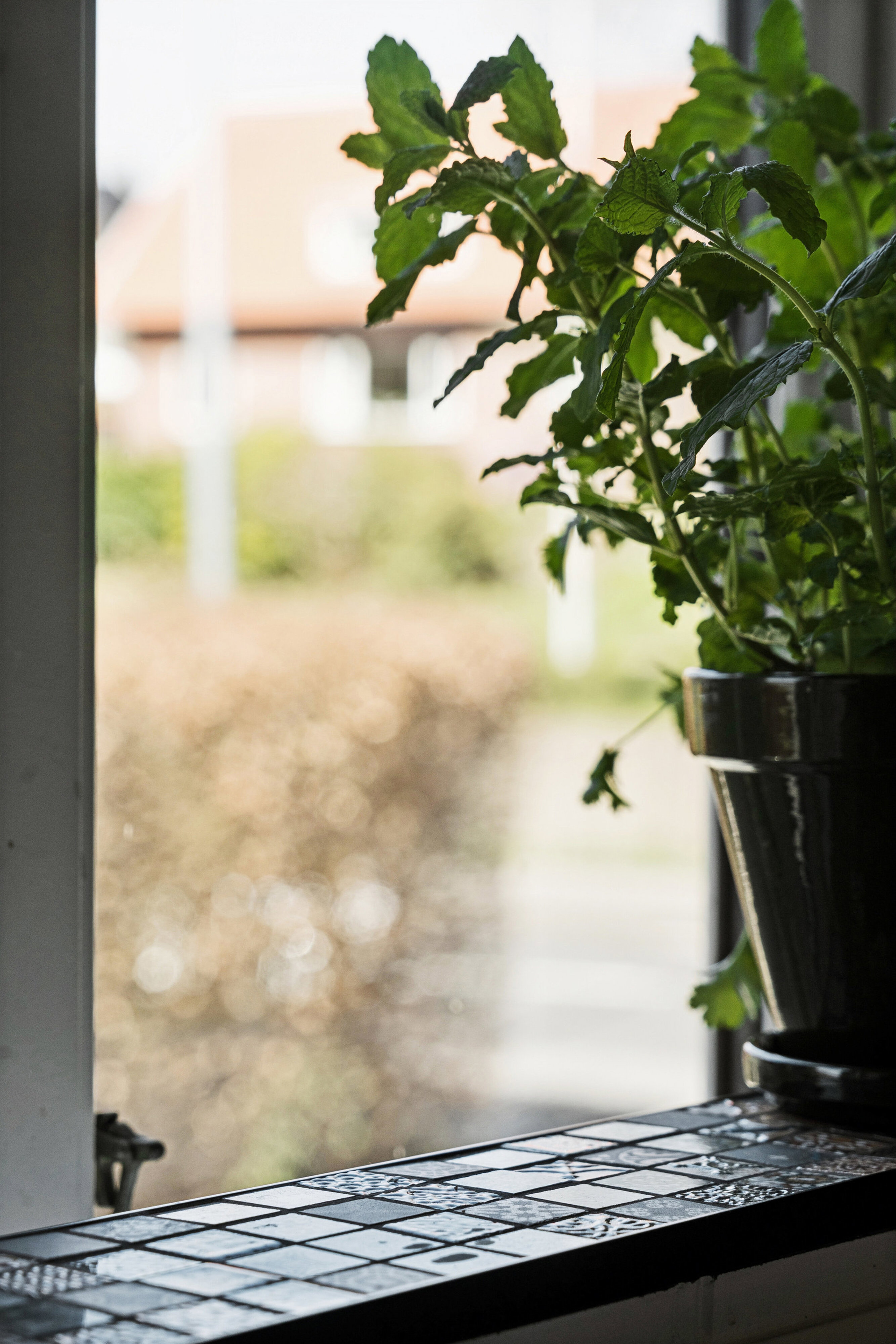 Brynet 1, 7100 Vejle