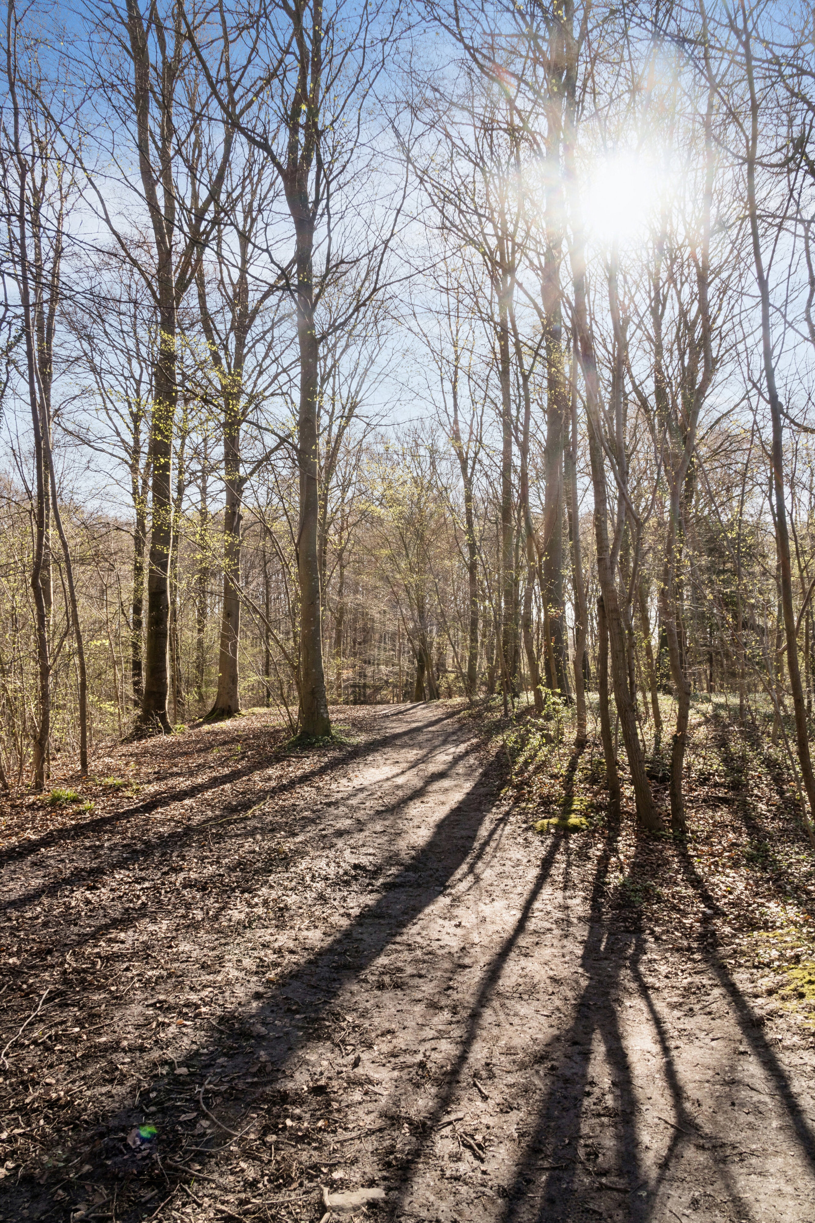 Kådhøjvej 8, 8530 Hjortshøj