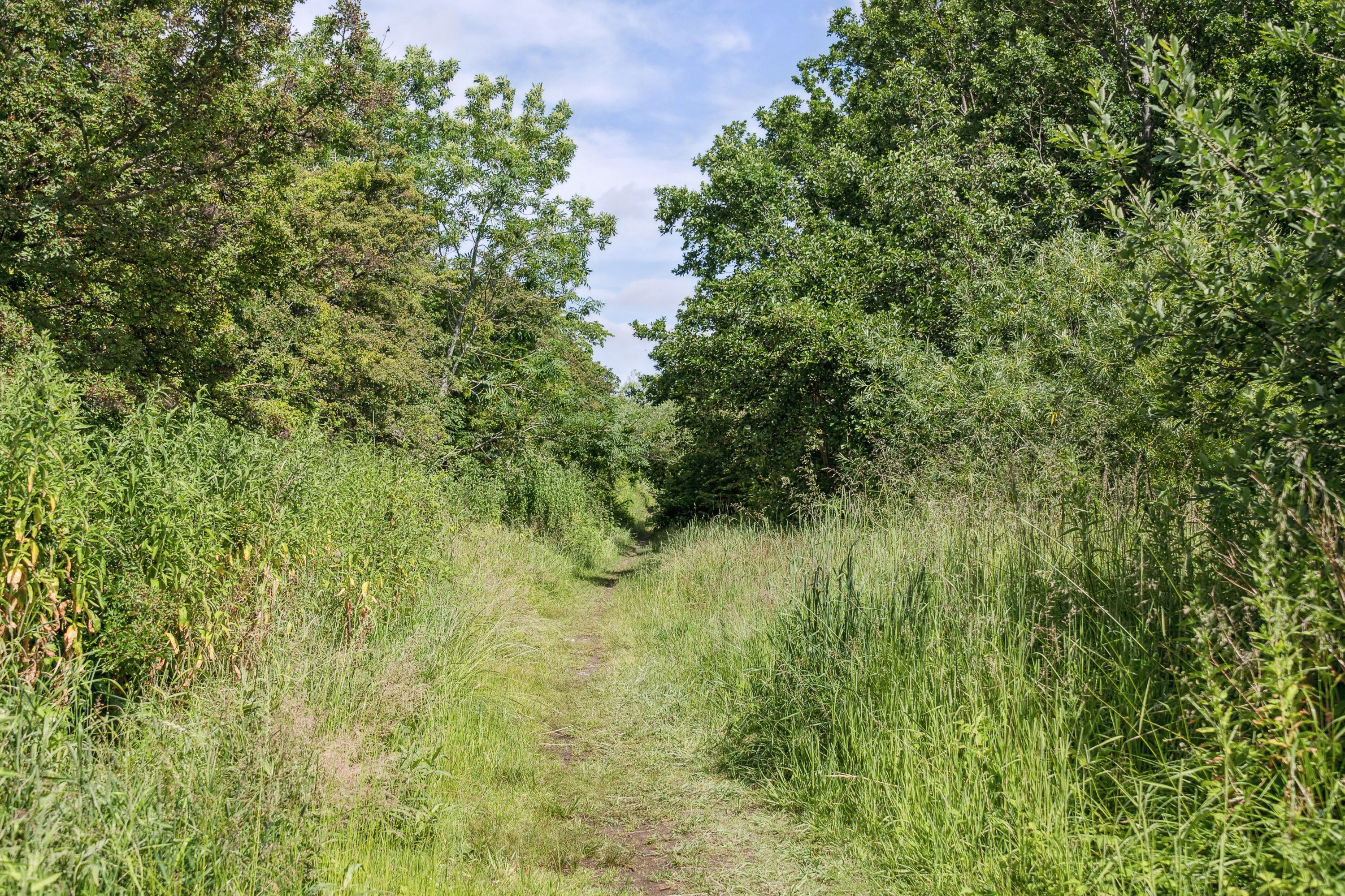 Hyld Ager 145, 2770 Kastrup