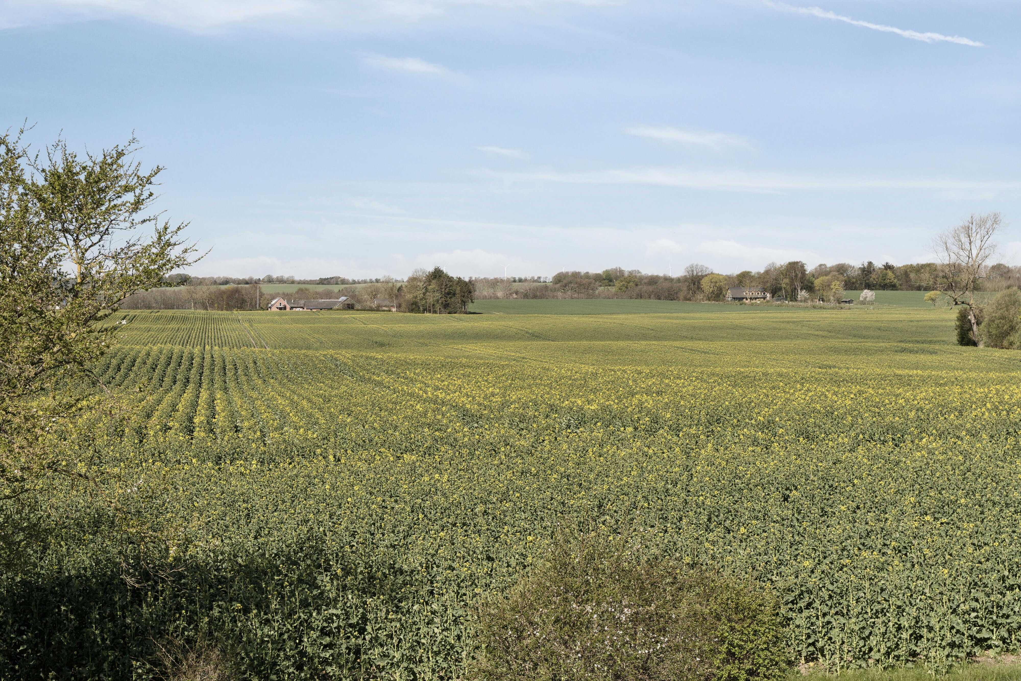 Estrupvej 46, 8543 Hornslet