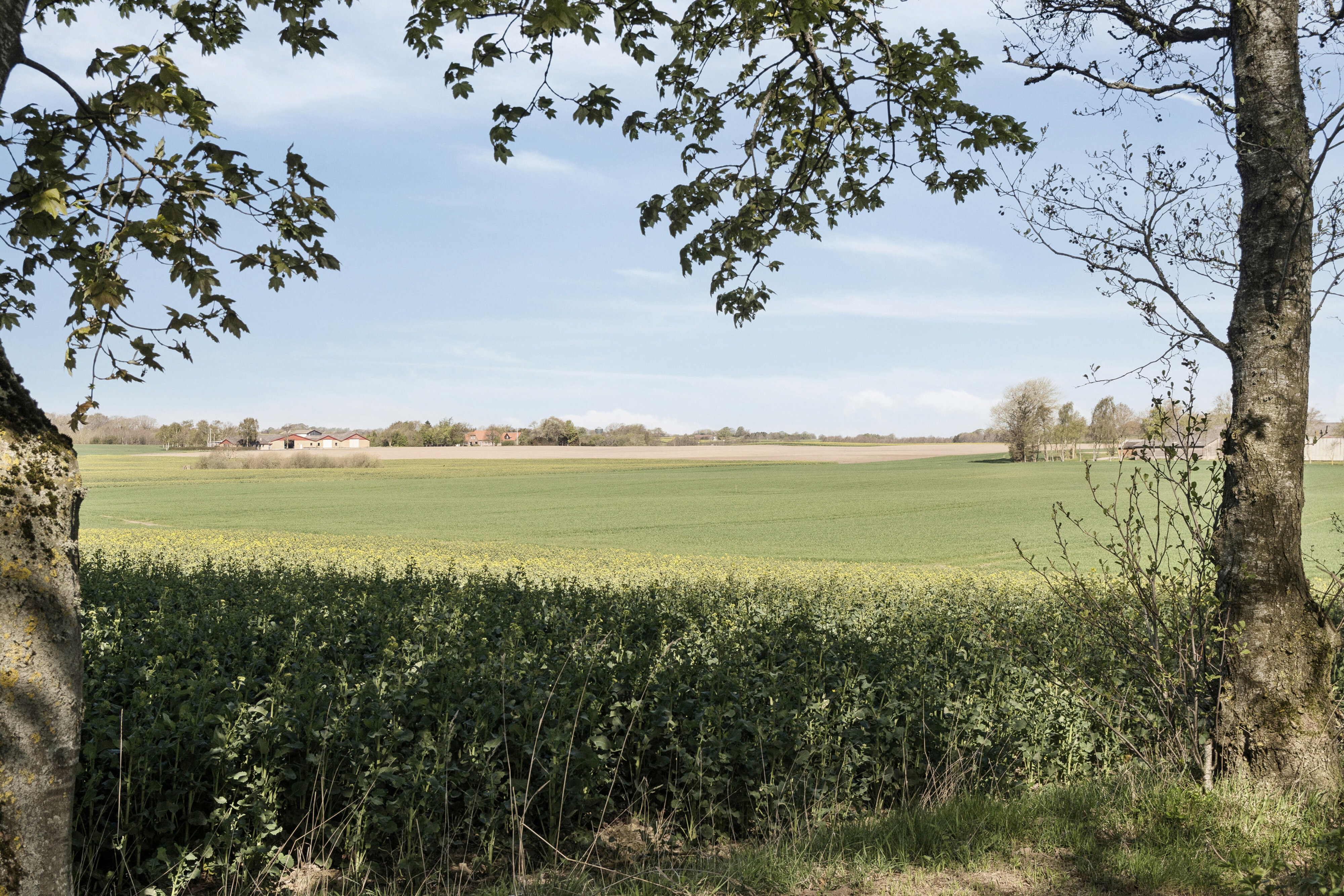 Estrupvej 46, 8543 Hornslet