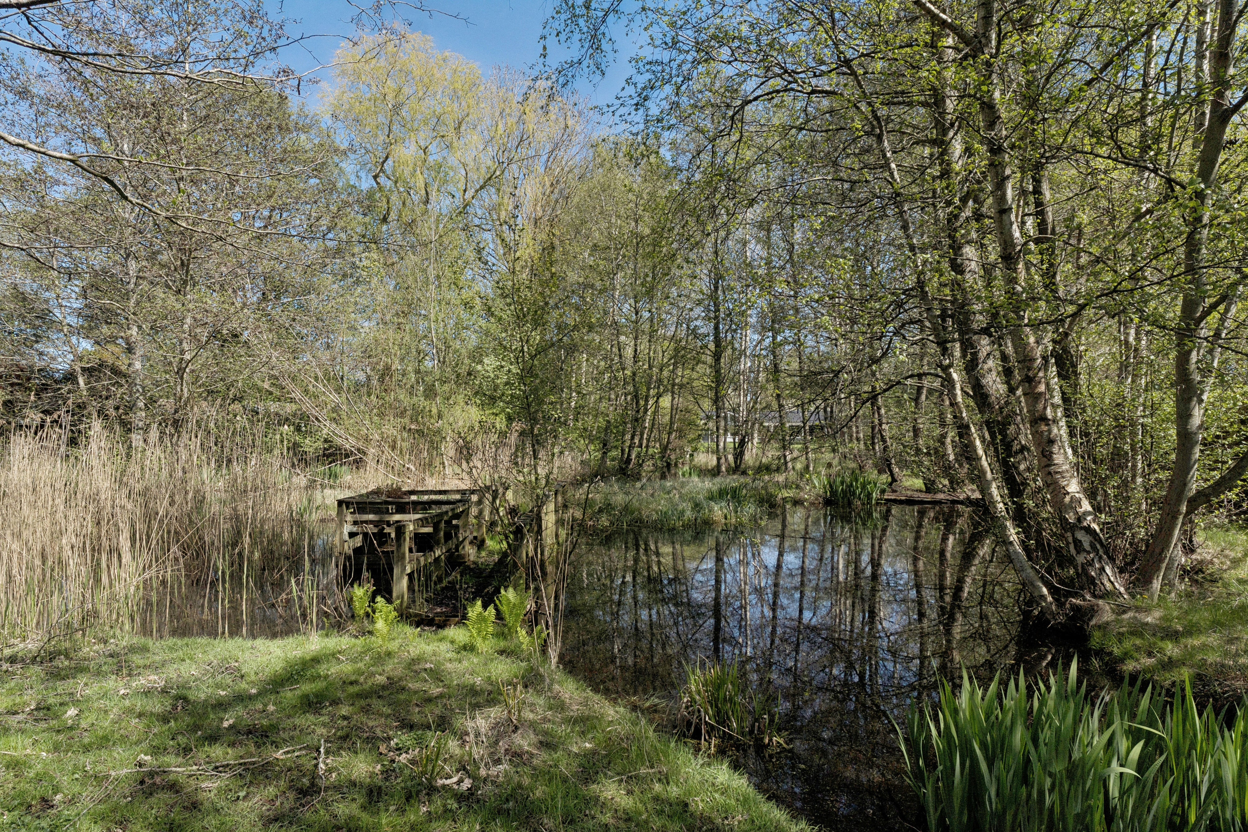 Ranunkelvej 13, 3250 Gilleleje