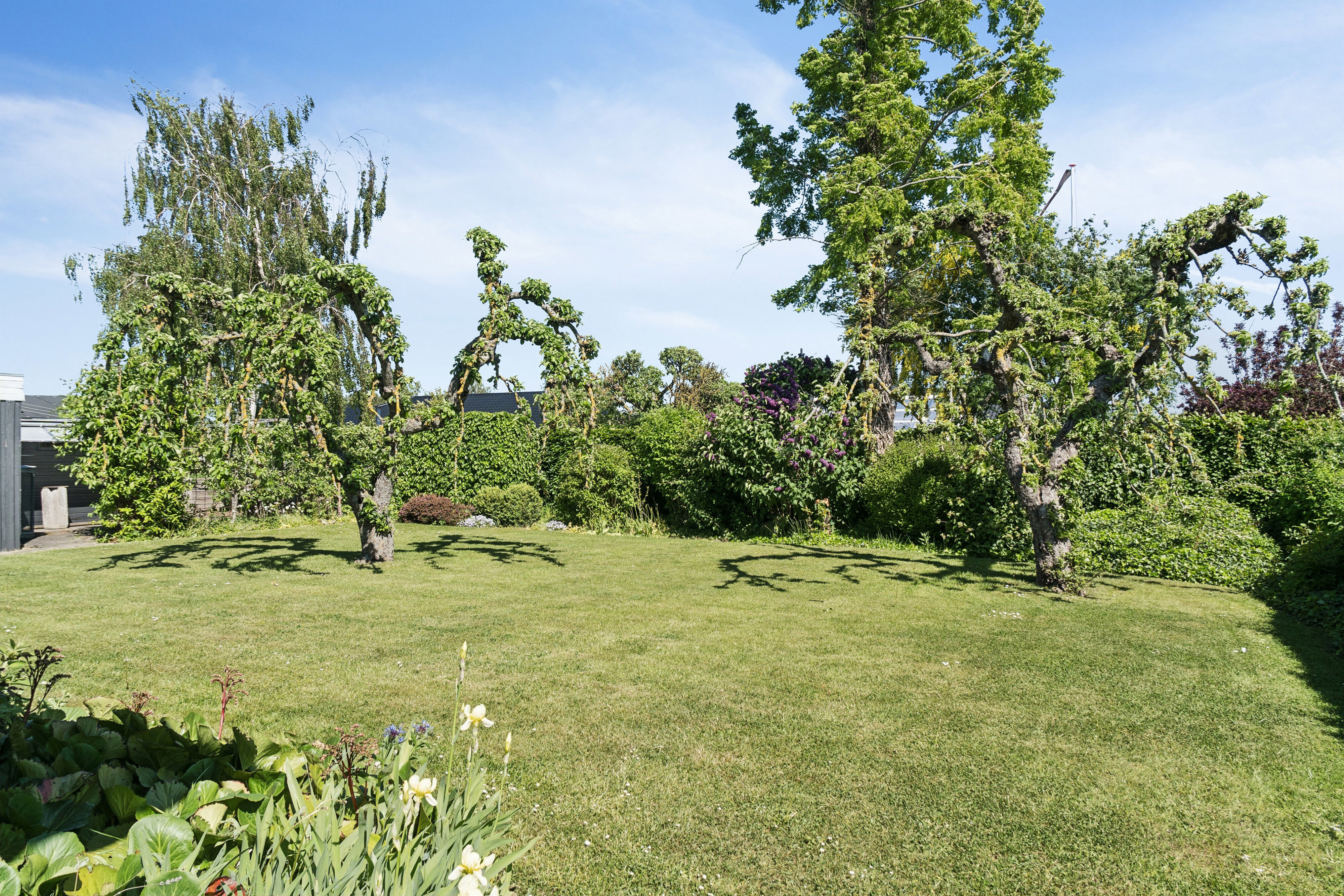Cikorievej 4, 4300 Holbæk