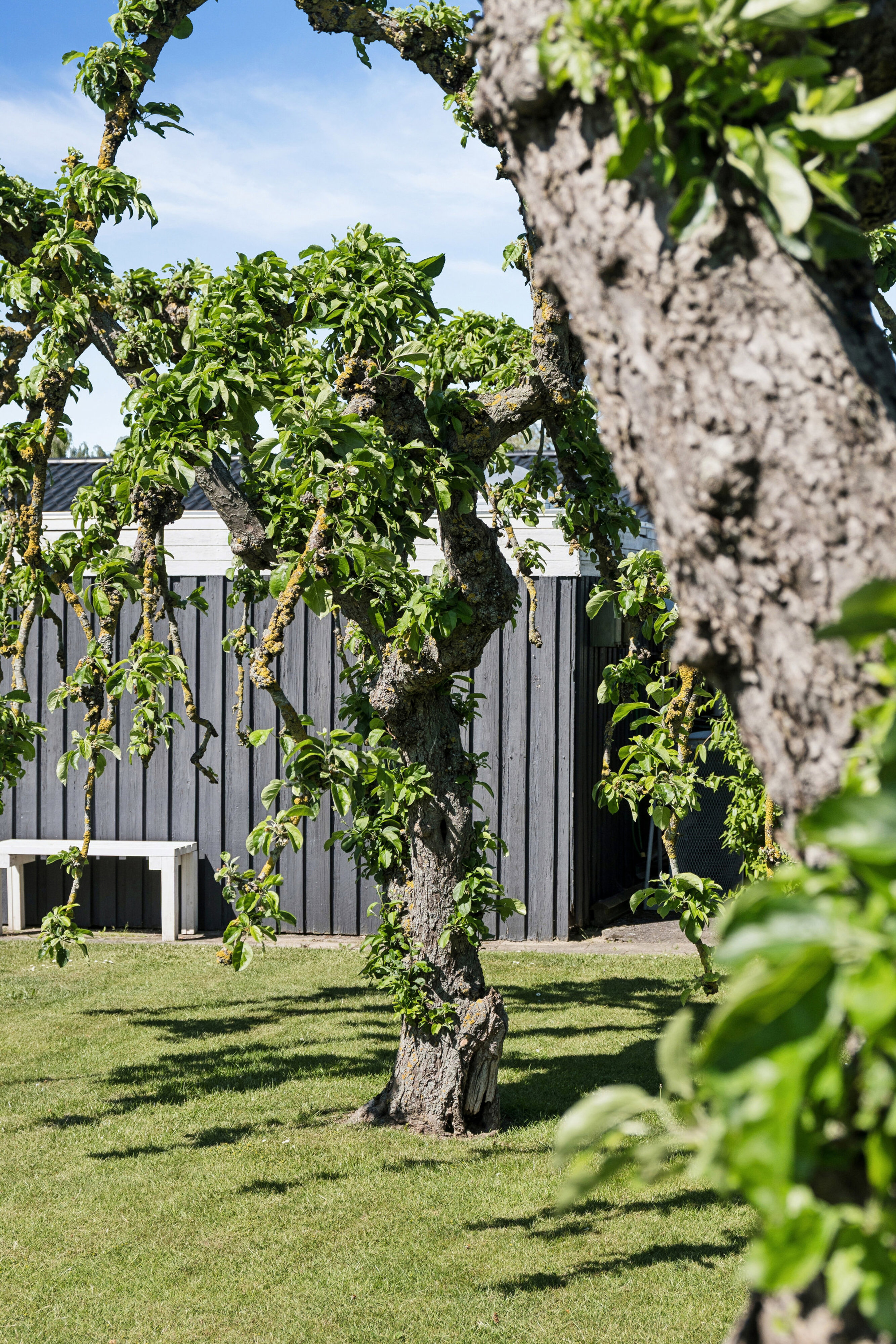 Cikorievej 4, 4300 Holbæk