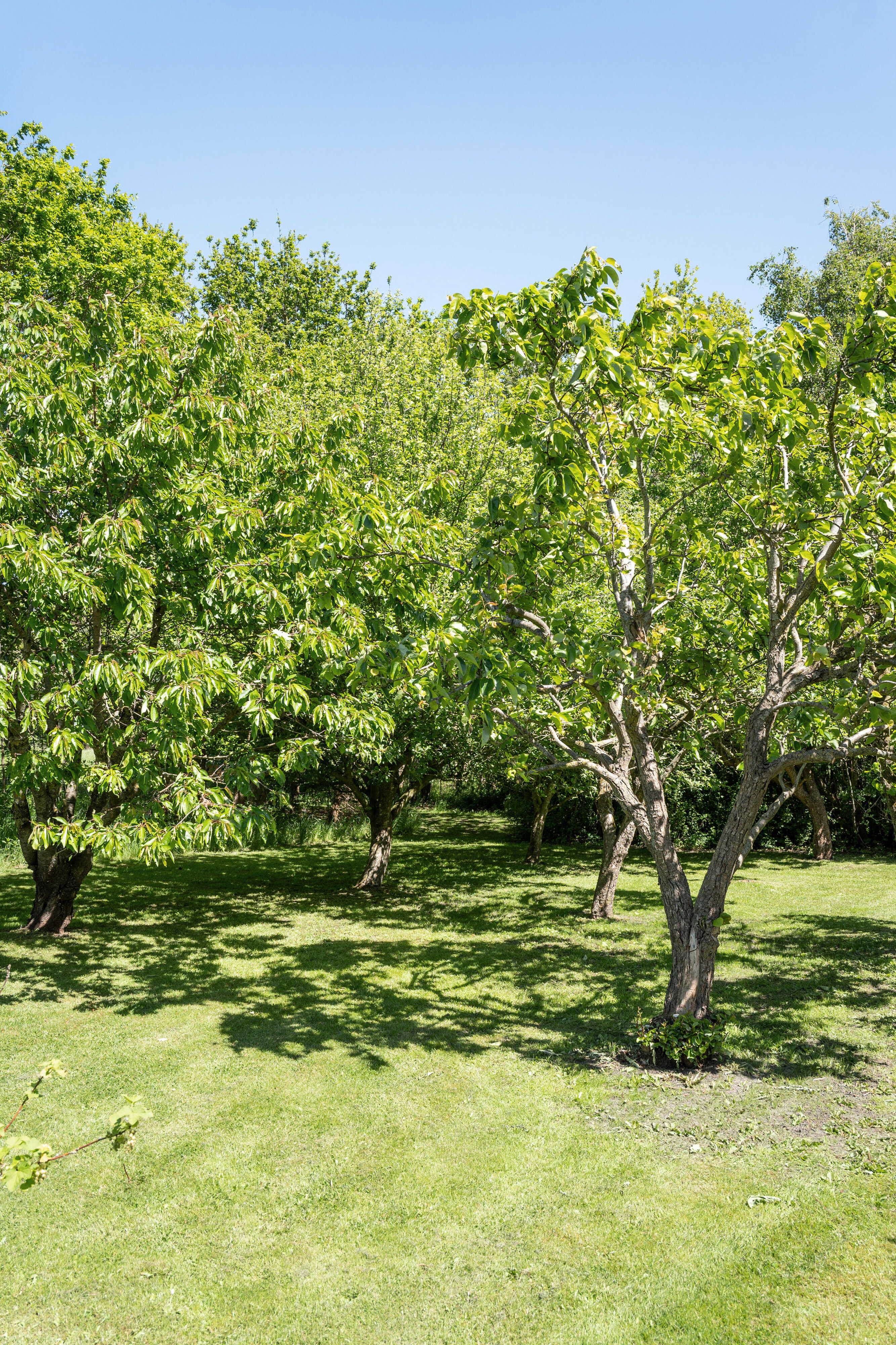 Nørholmsvej 276, 9000 Aalborg