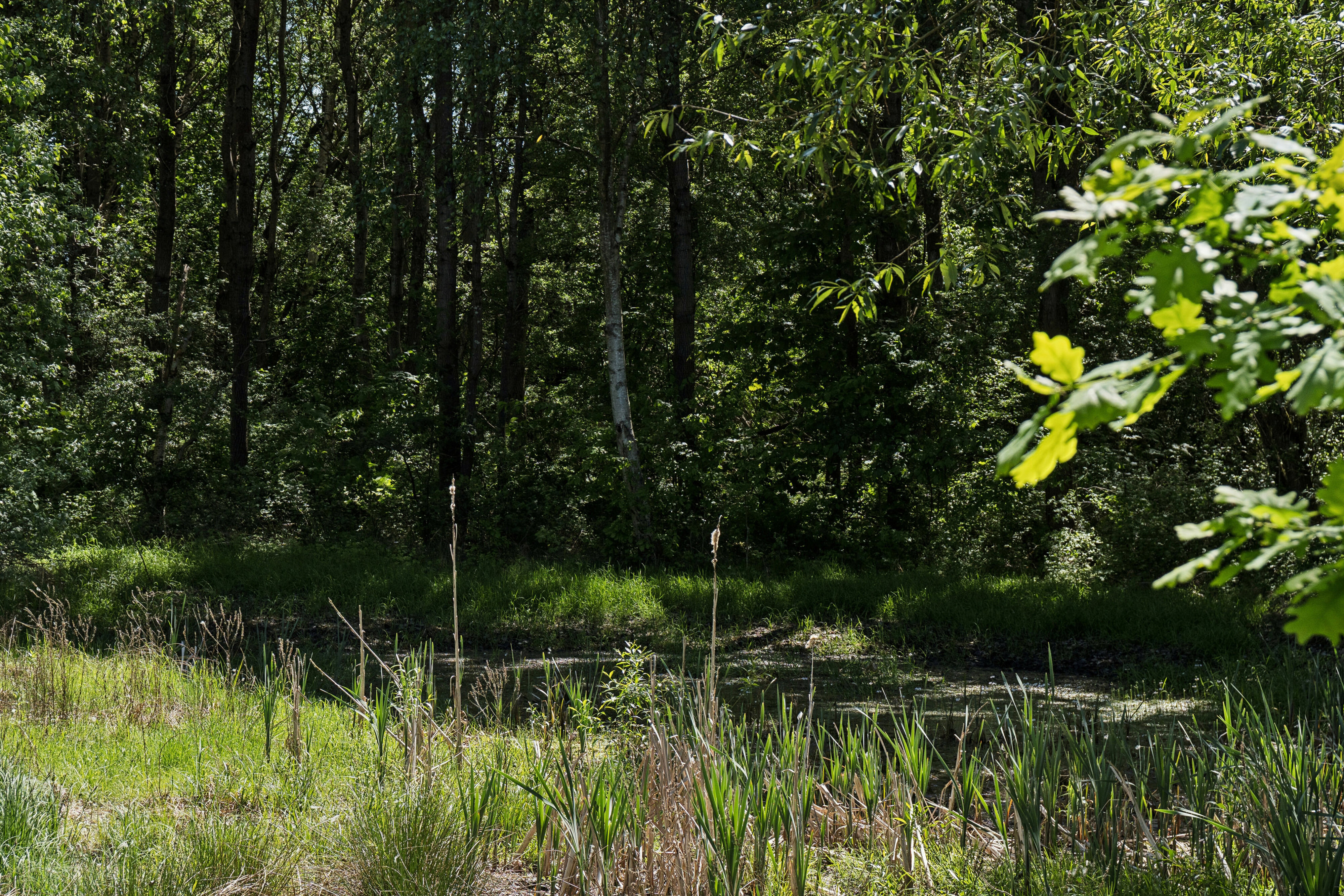 Langkildeparken 2, 3480 Fredensborg