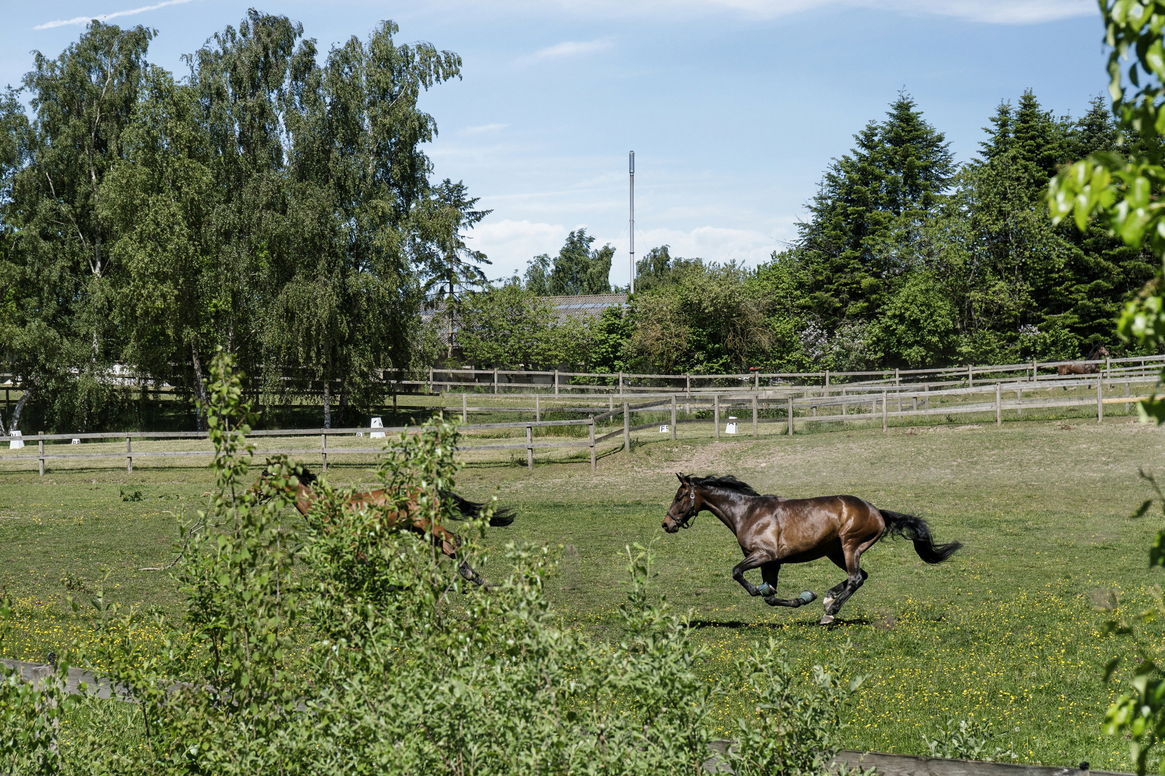 Langkildeparken 2, 3480 Fredensborg